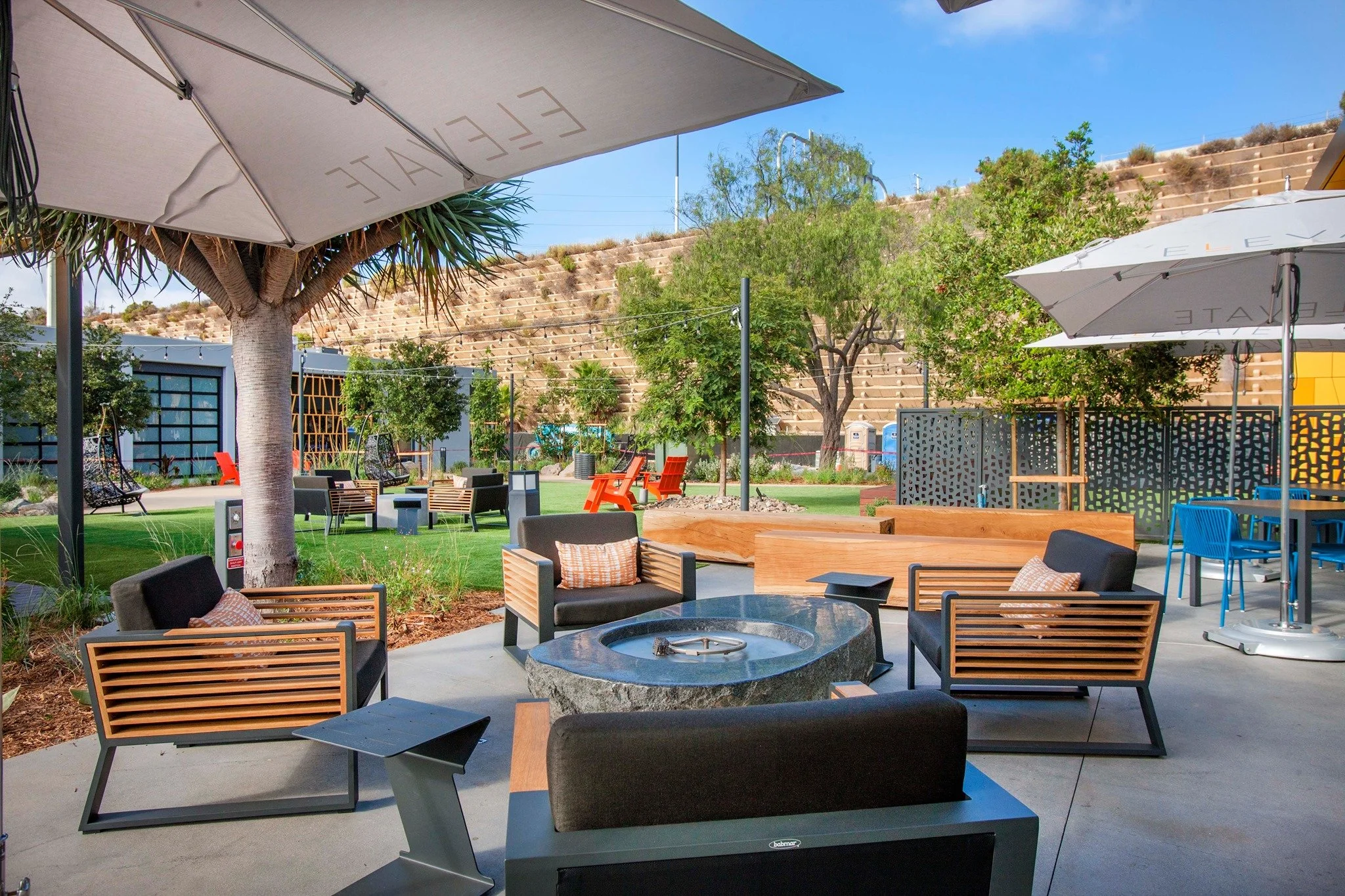 Ivy+ Happy Hour-- February 2nd