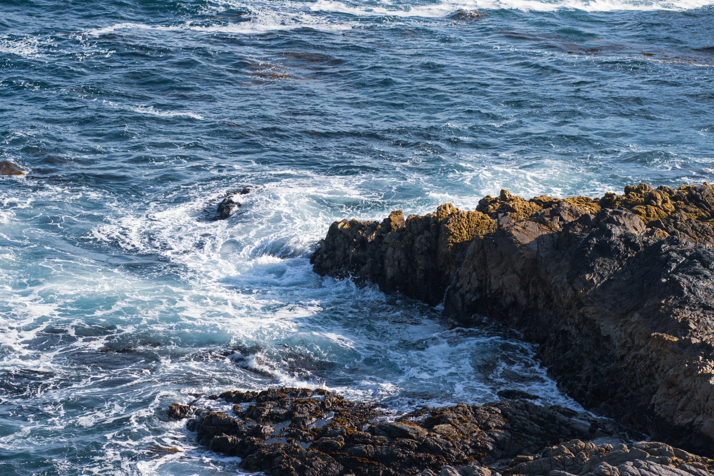 Del Mar Coastal Hike + An's Gelato