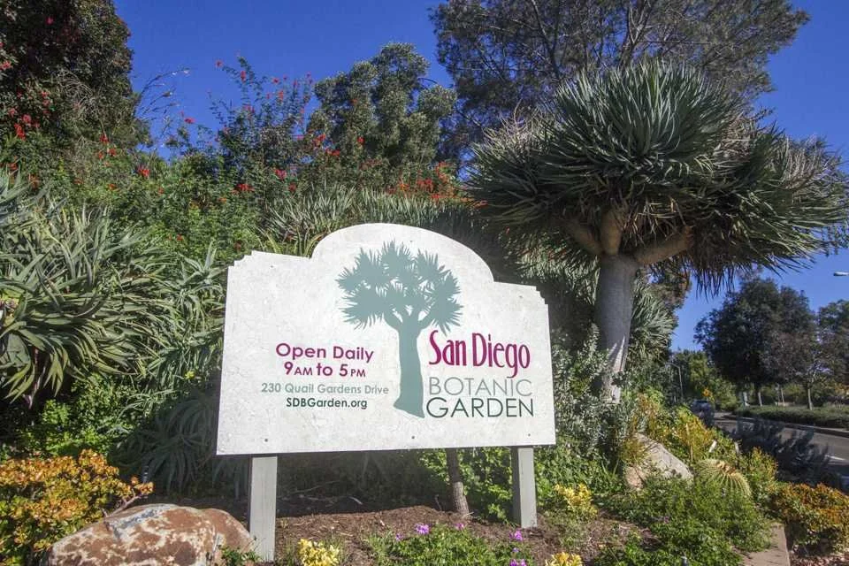 San Diego Botanical Garden Medicinal Plant Tour