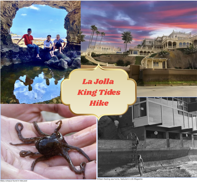 Low Tide, Big Views: La Jolla King Tides Hike