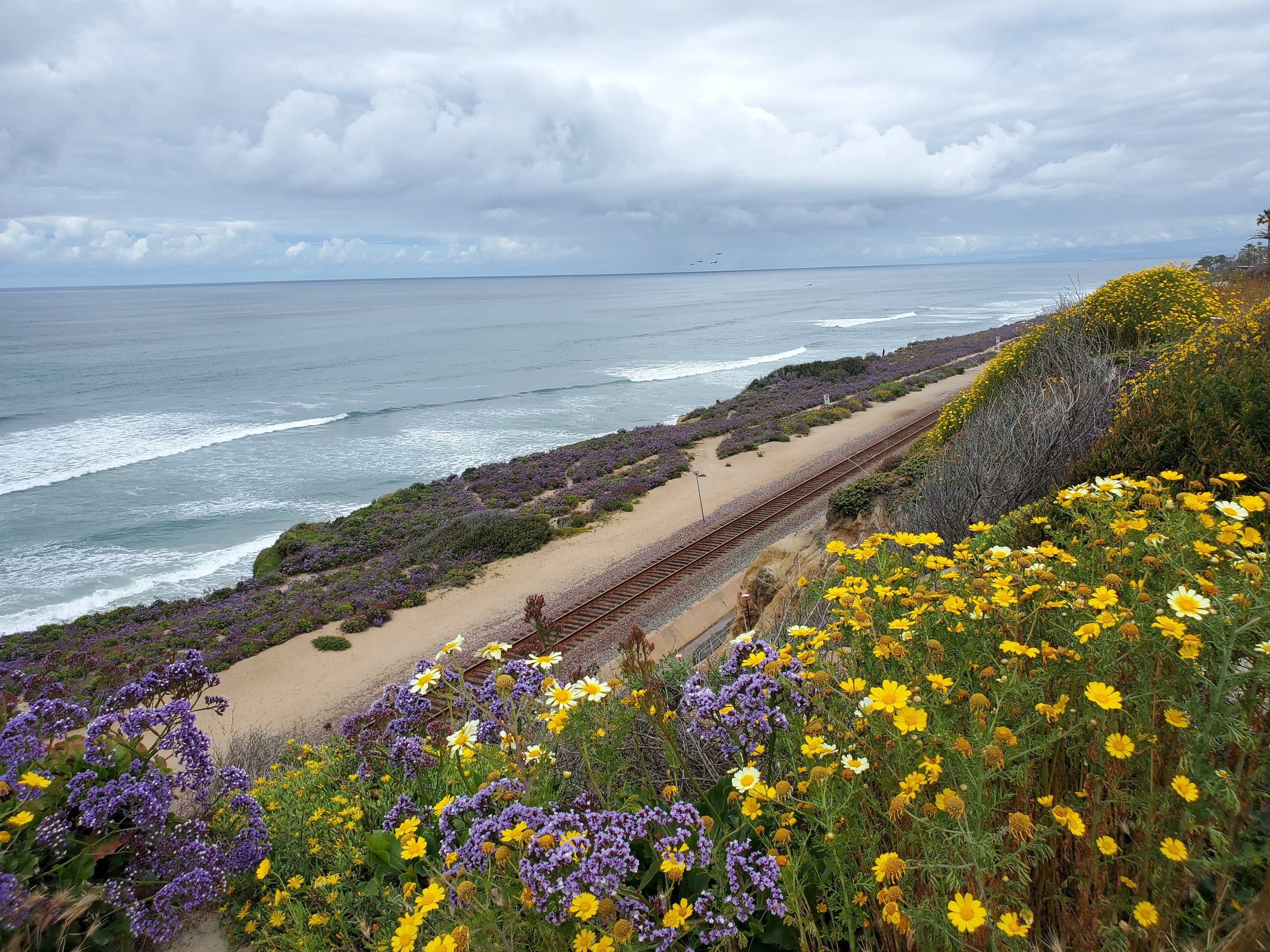 Sun, Sand &amp; Scoops: Del Mar Hike + An's Gelato