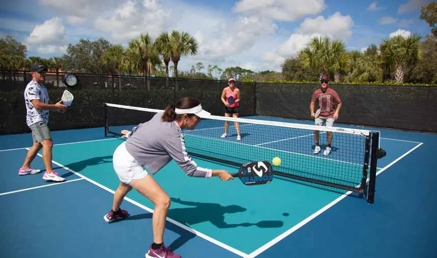 Pickleball in the Park!