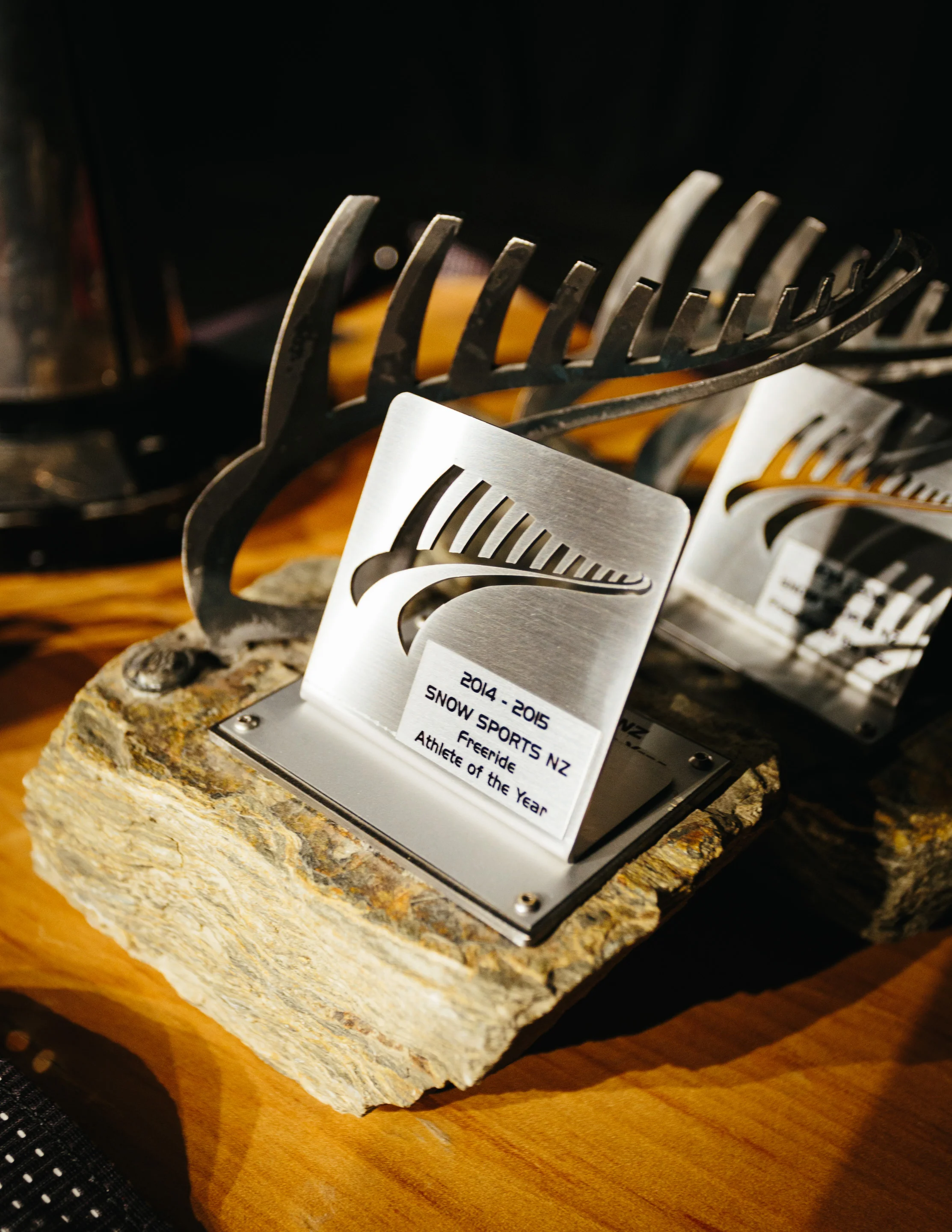 SSNZ_Awards Night-2.jpg