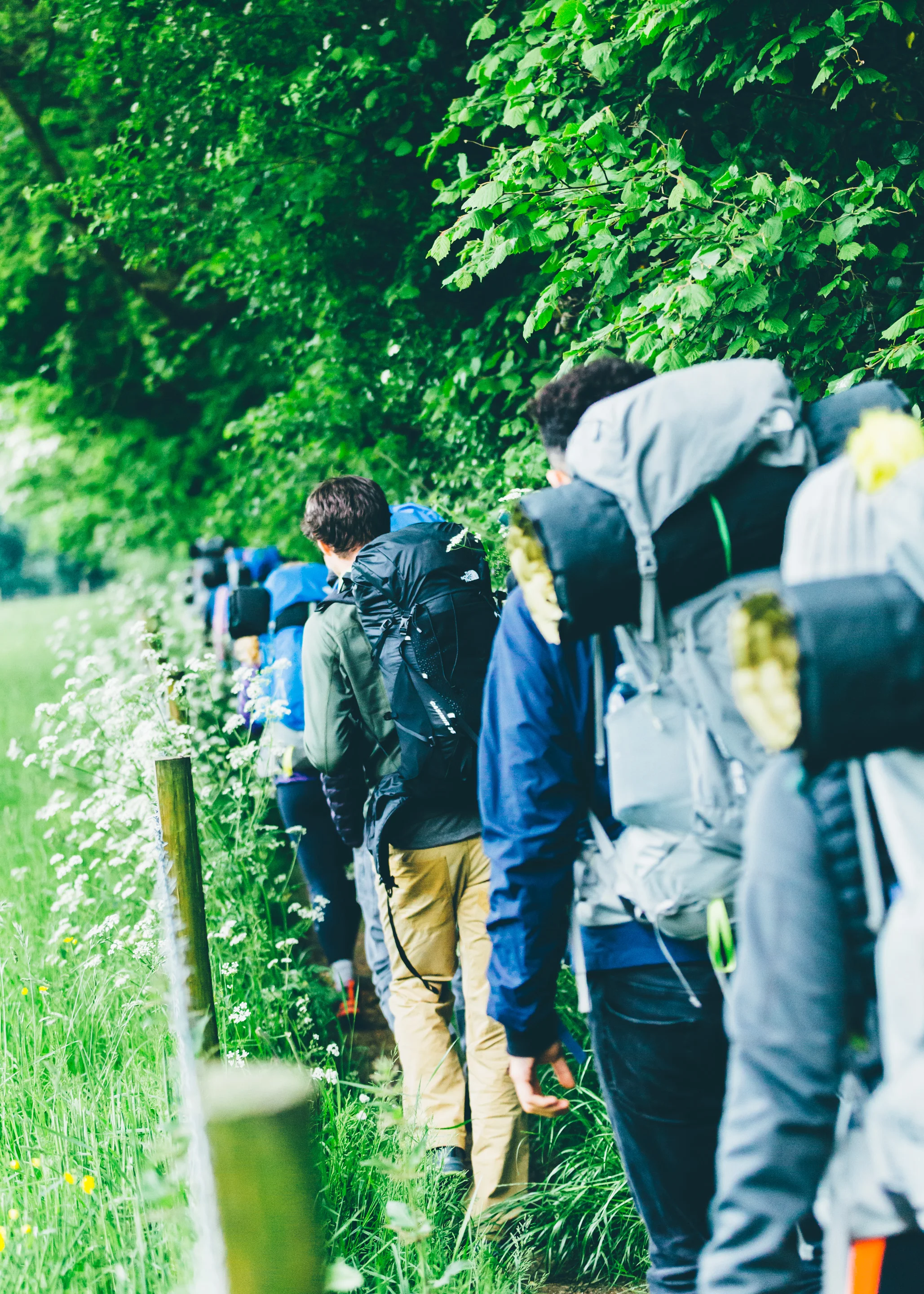 BenReadPhotography_TNF_Nightwalk-52.jpg