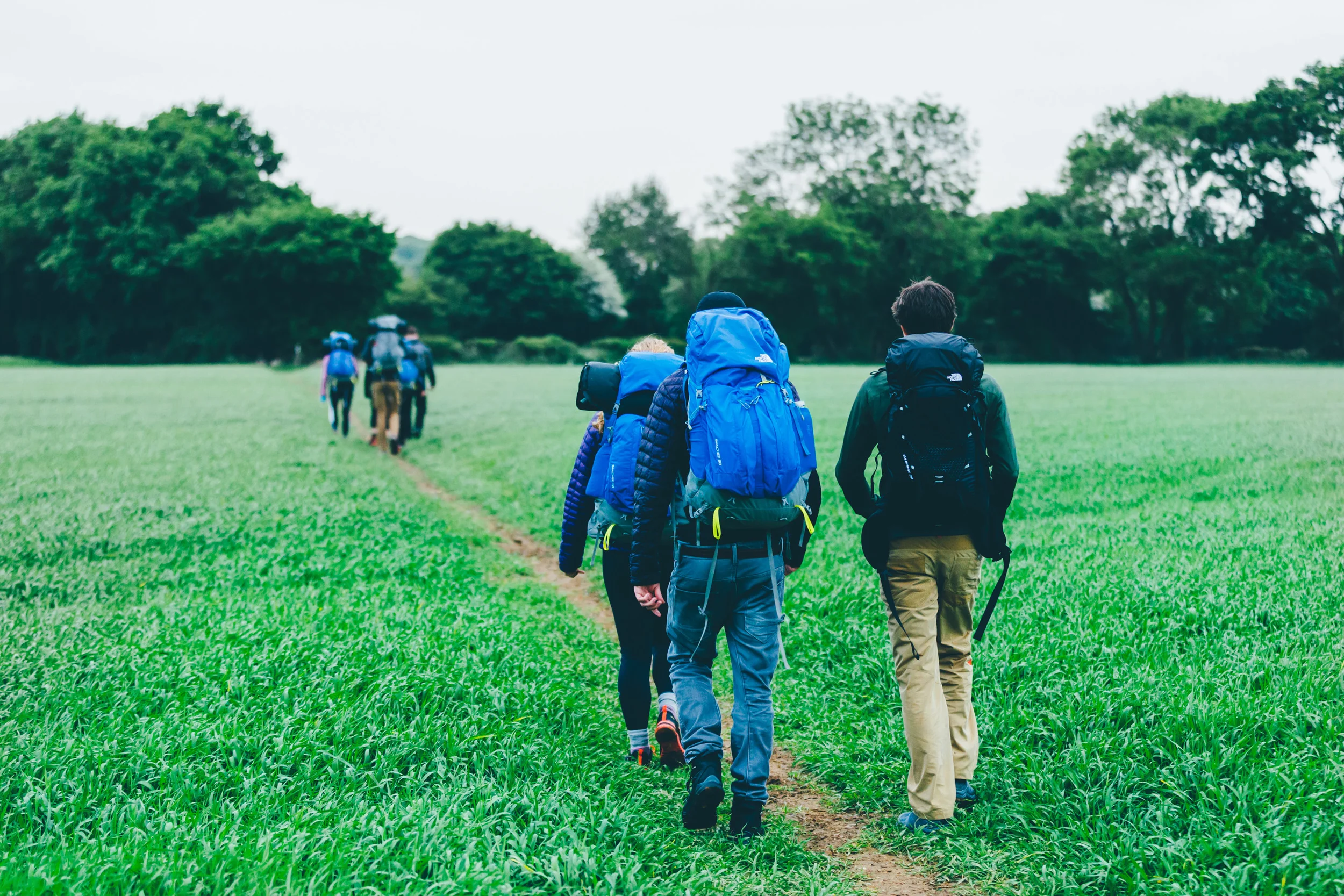 BenReadPhotography_TNF_Nightwalk-59.jpg