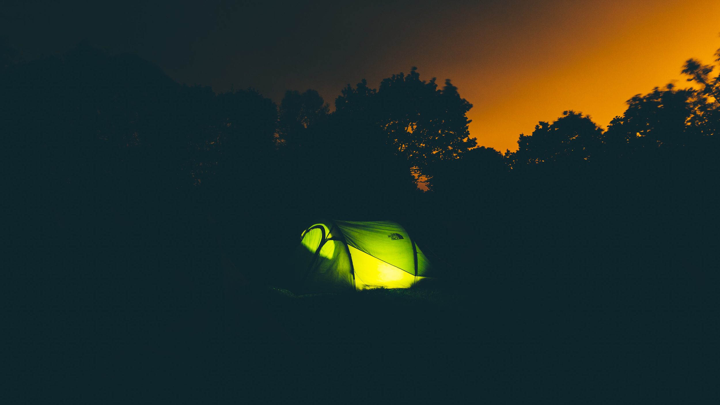 BenReadPhotography_TNF_Nightwalk-99.jpg