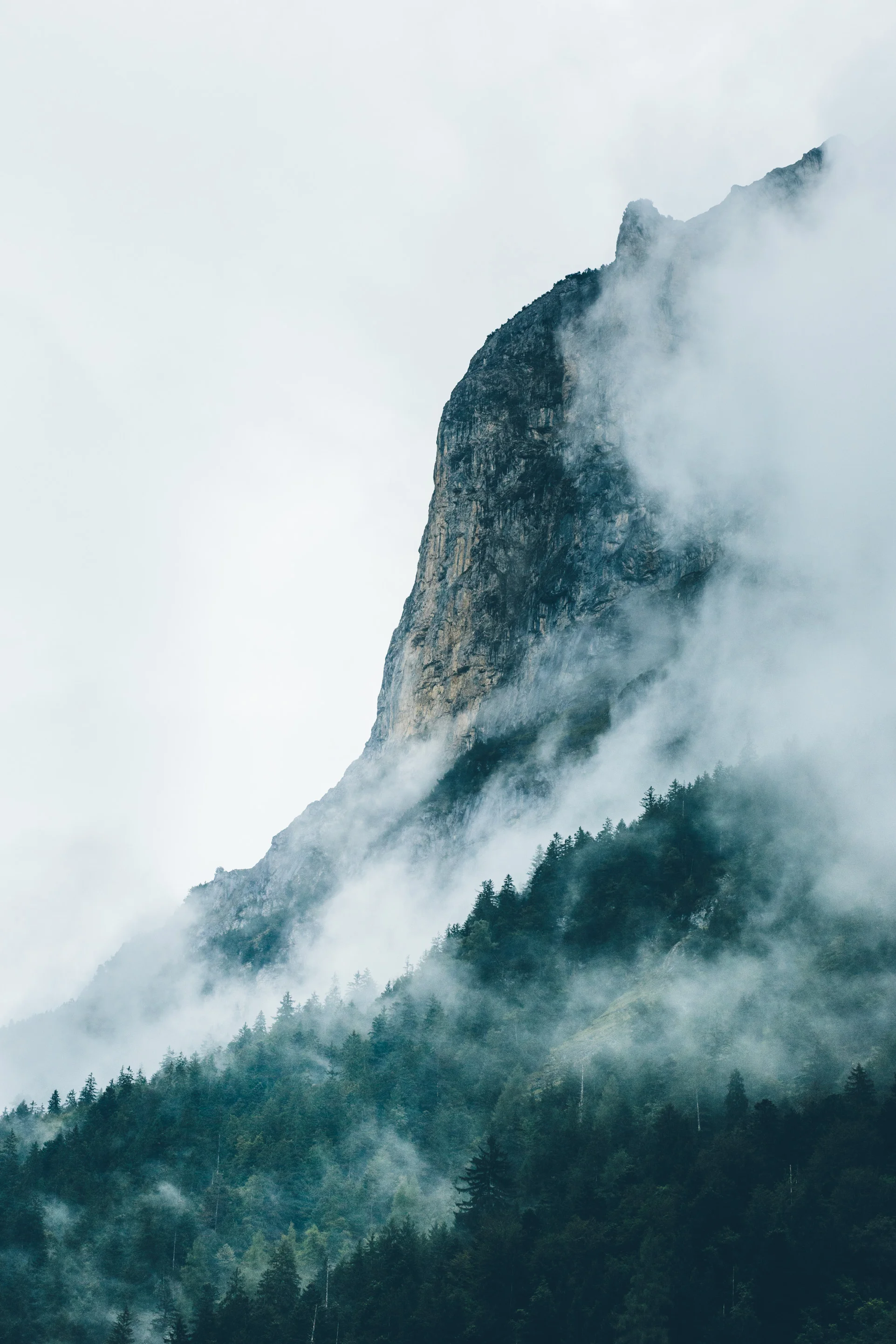 BenReadPhotography_TNF_MTN FEST_FRIDAY_CAMP VIBES-1.jpg