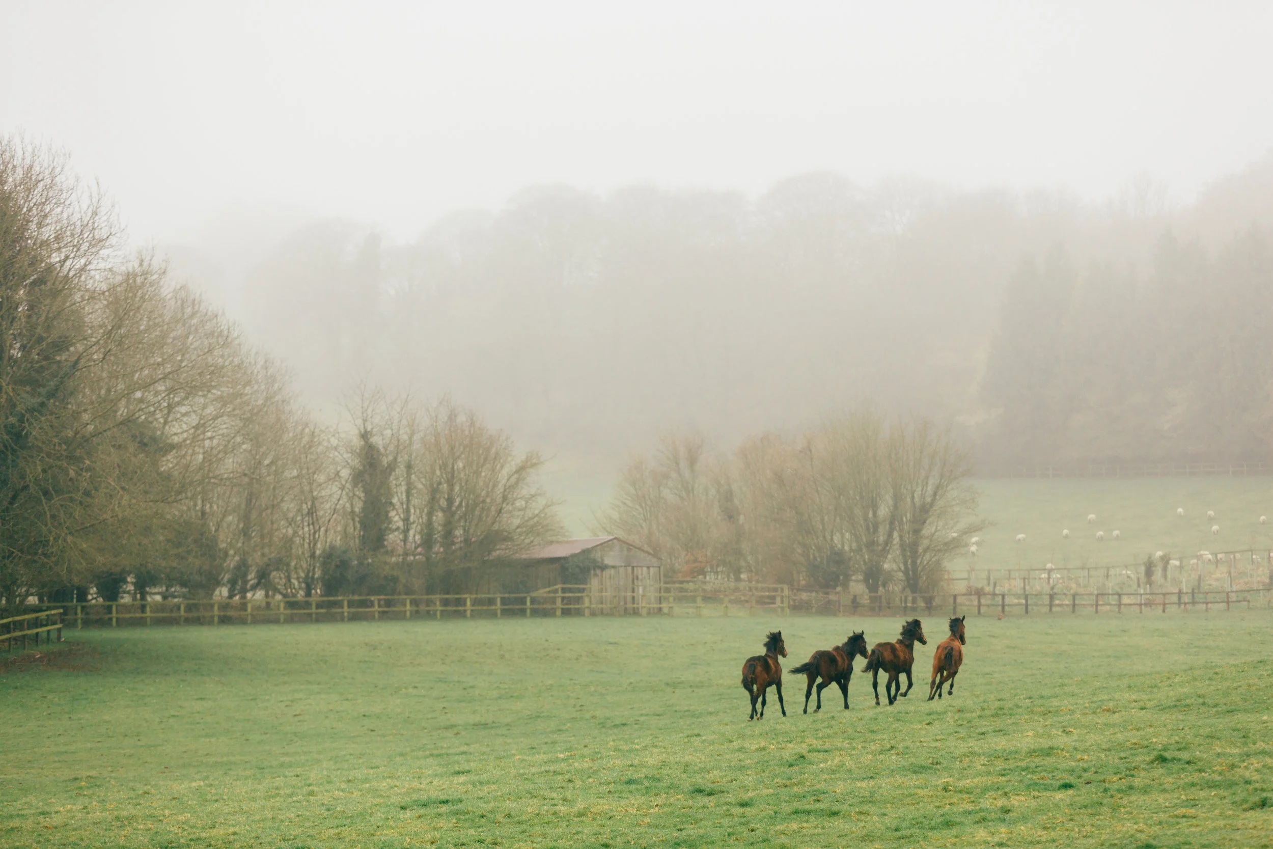 BenReadPhotography_GentlemansJournal_HighclereStud-21.jpg