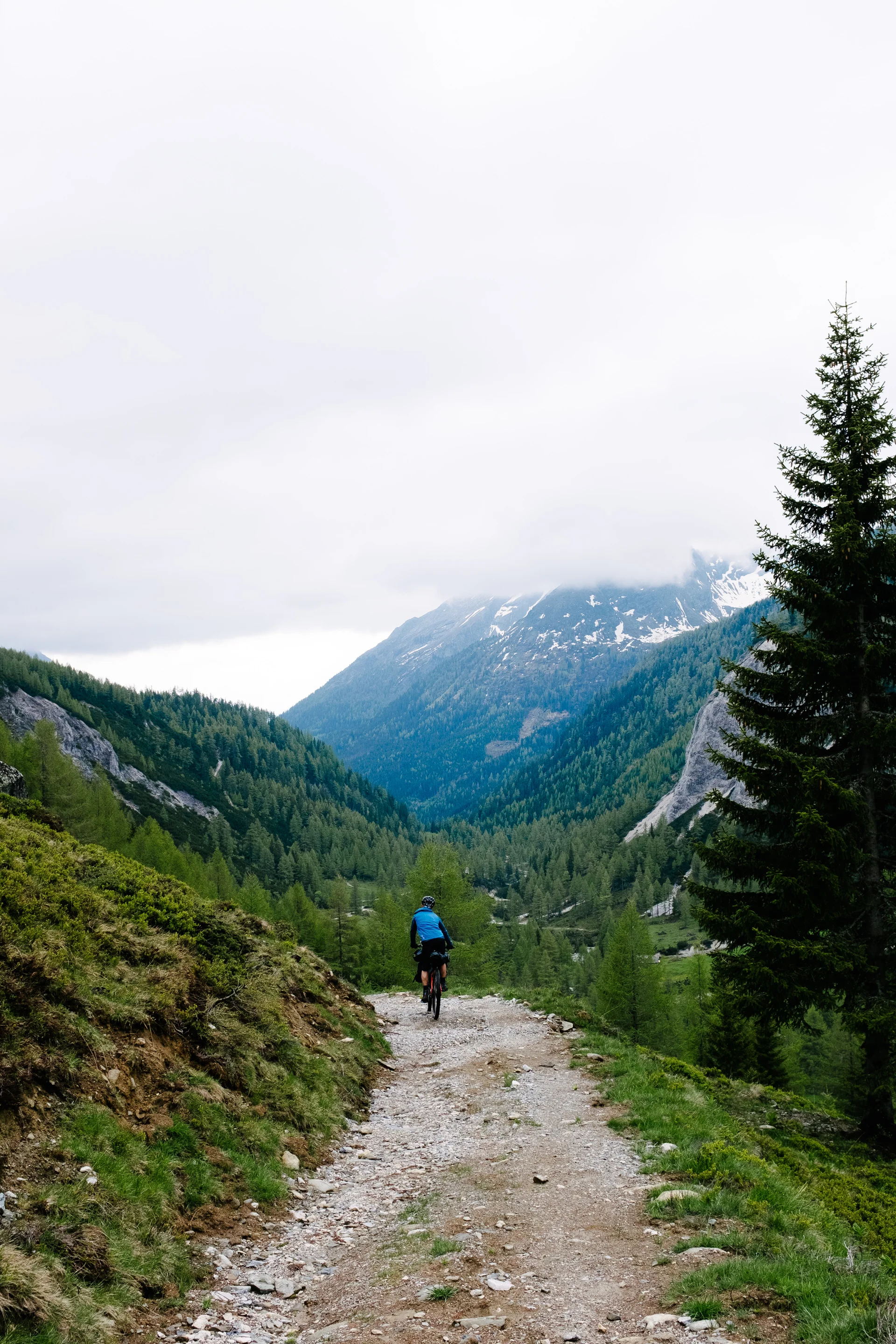 BenReadPhotography_Bikepacking-27.jpg