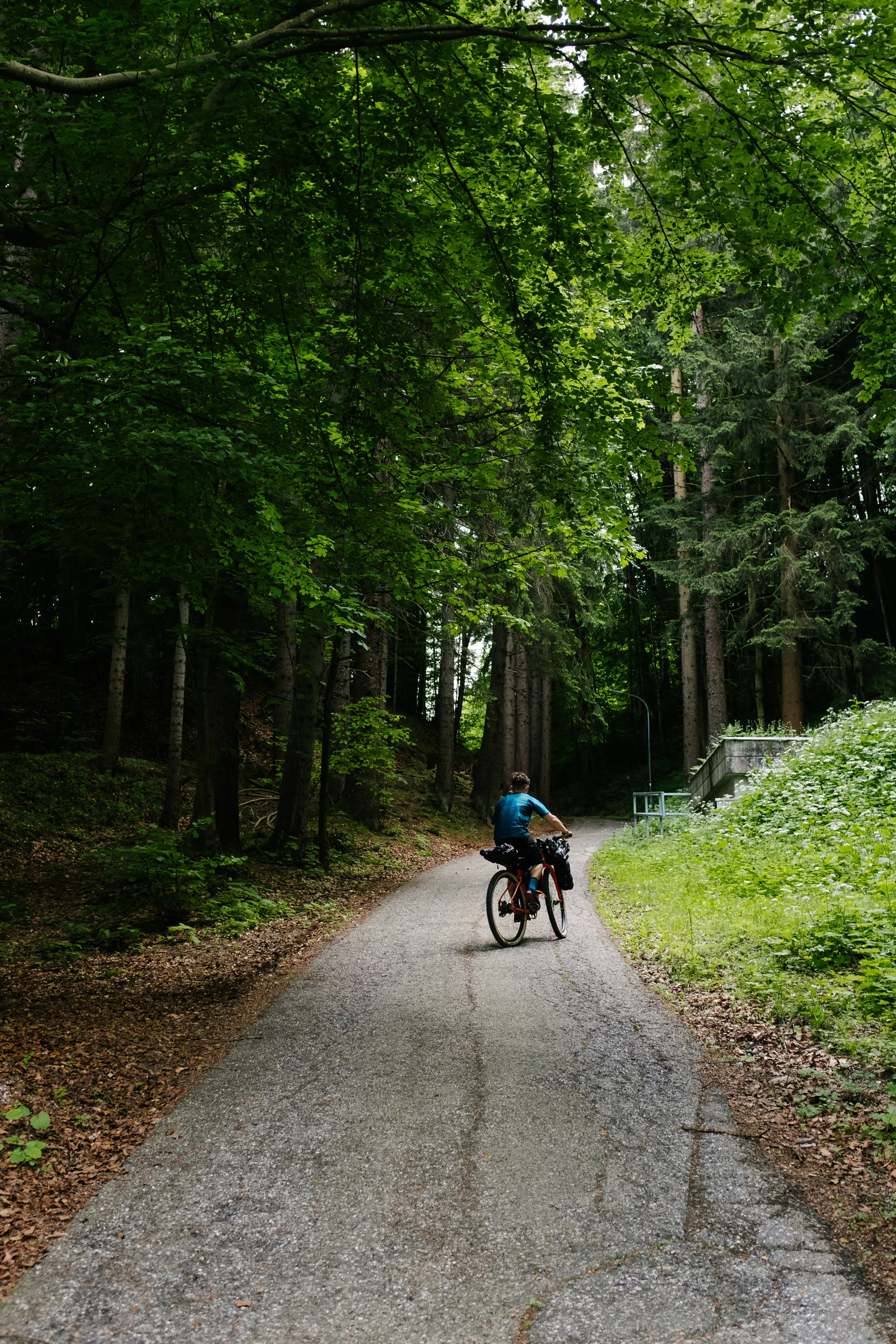 BenReadPhotography_Bikepacking-41.jpg