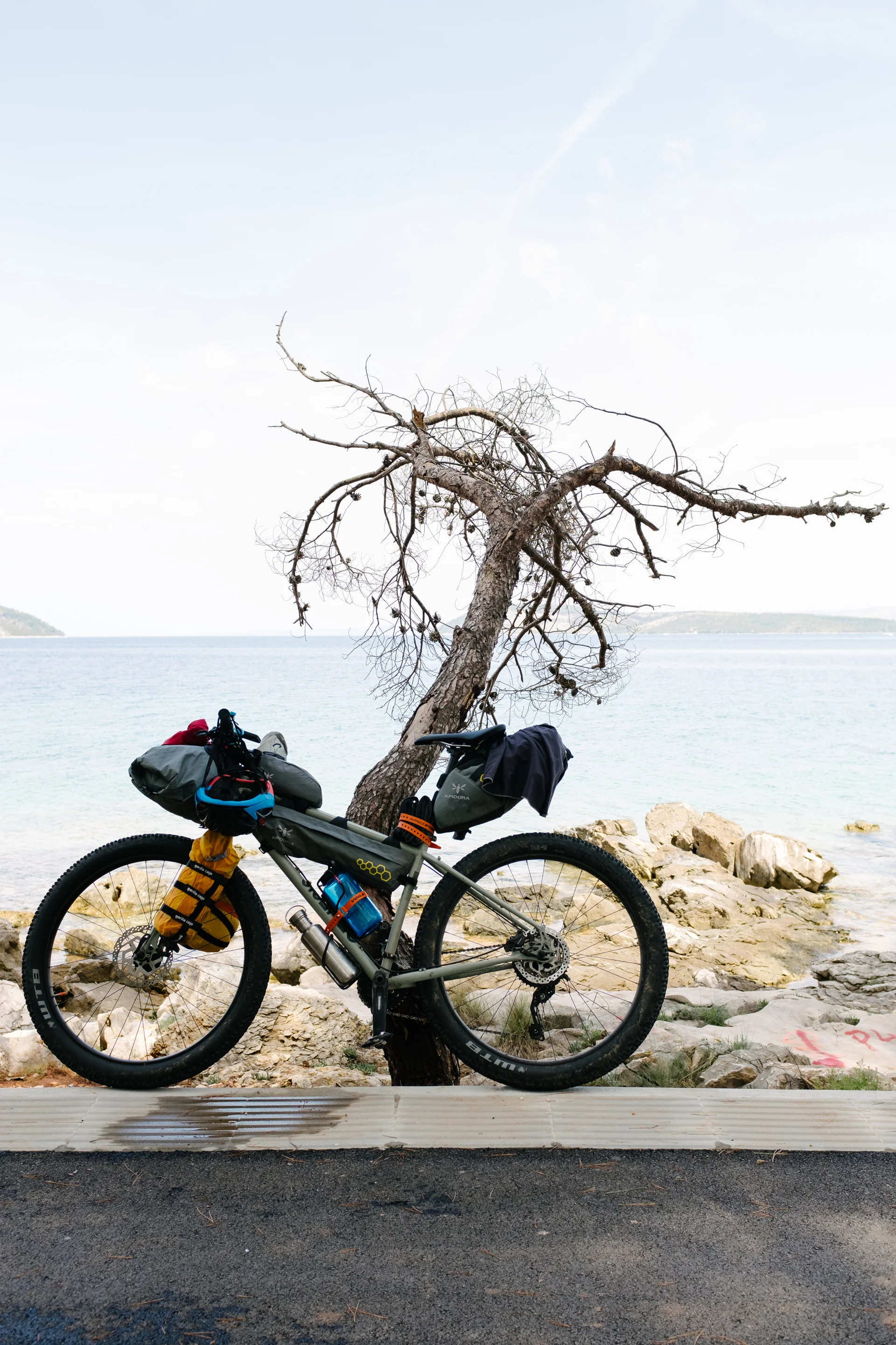 BenReadPhotography_Bikepacking-102.jpg