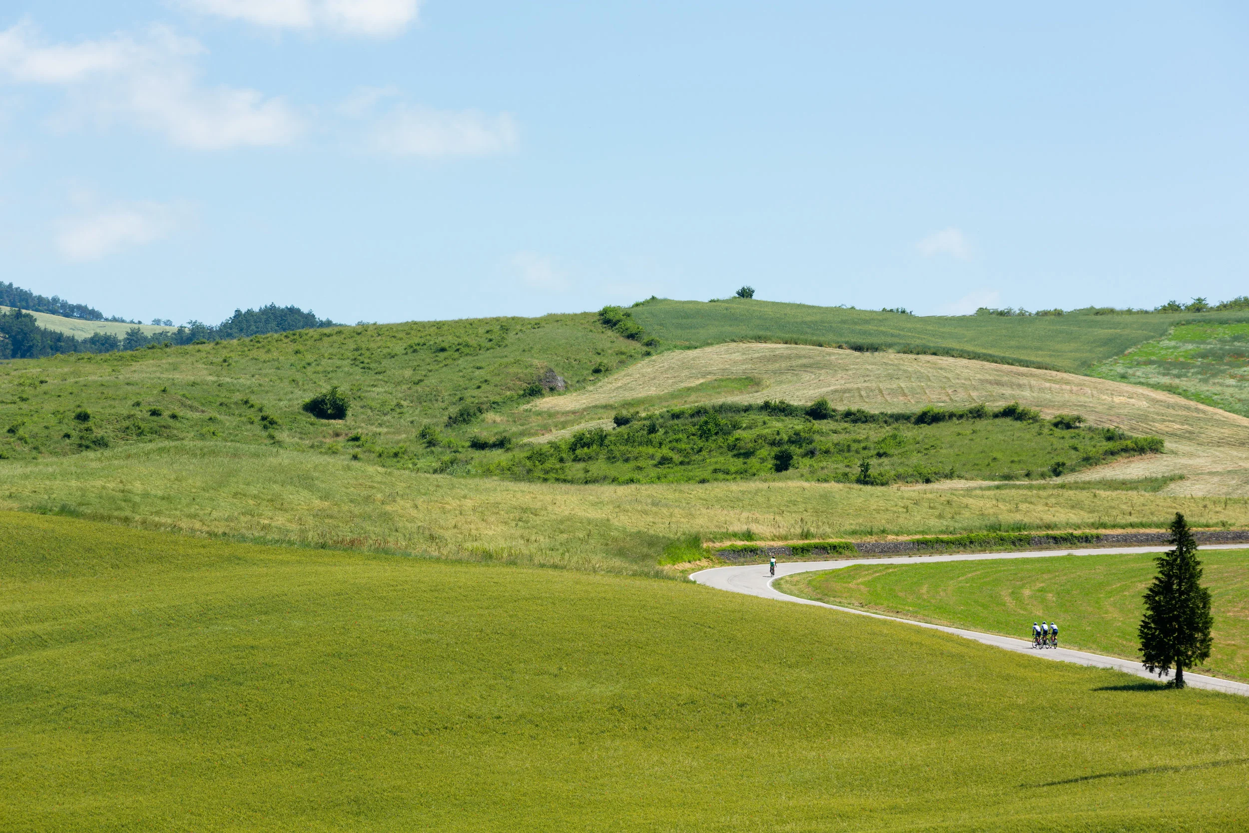 BenReadPhotography_CyclistMagazine_GFdelCap-83.jpg