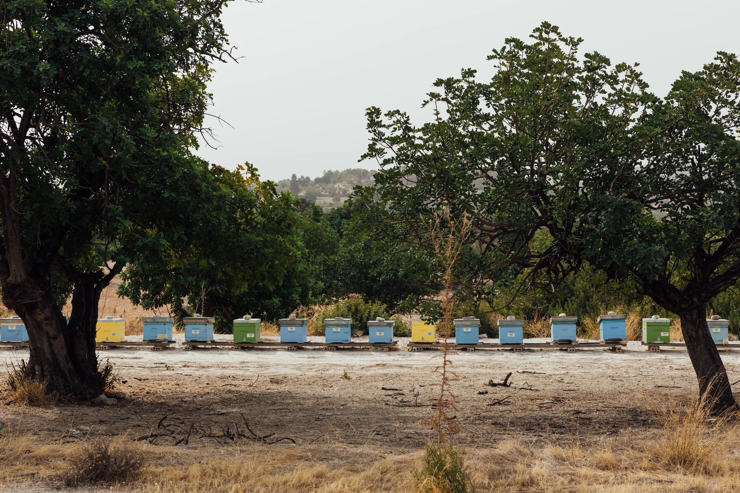 BenReadPhotography_TUI_Cyprus_MTB-5.jpg