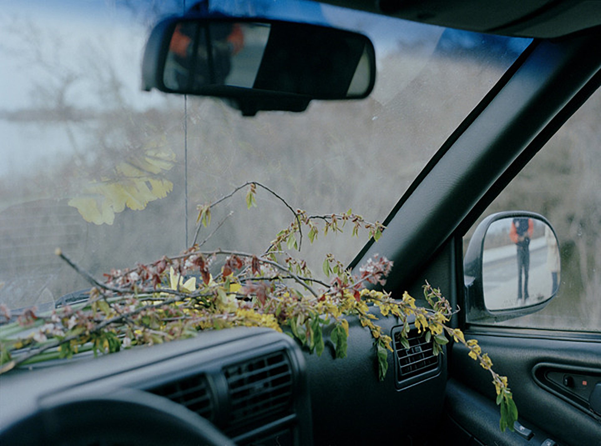 Untitled [flowers on dashboard]
