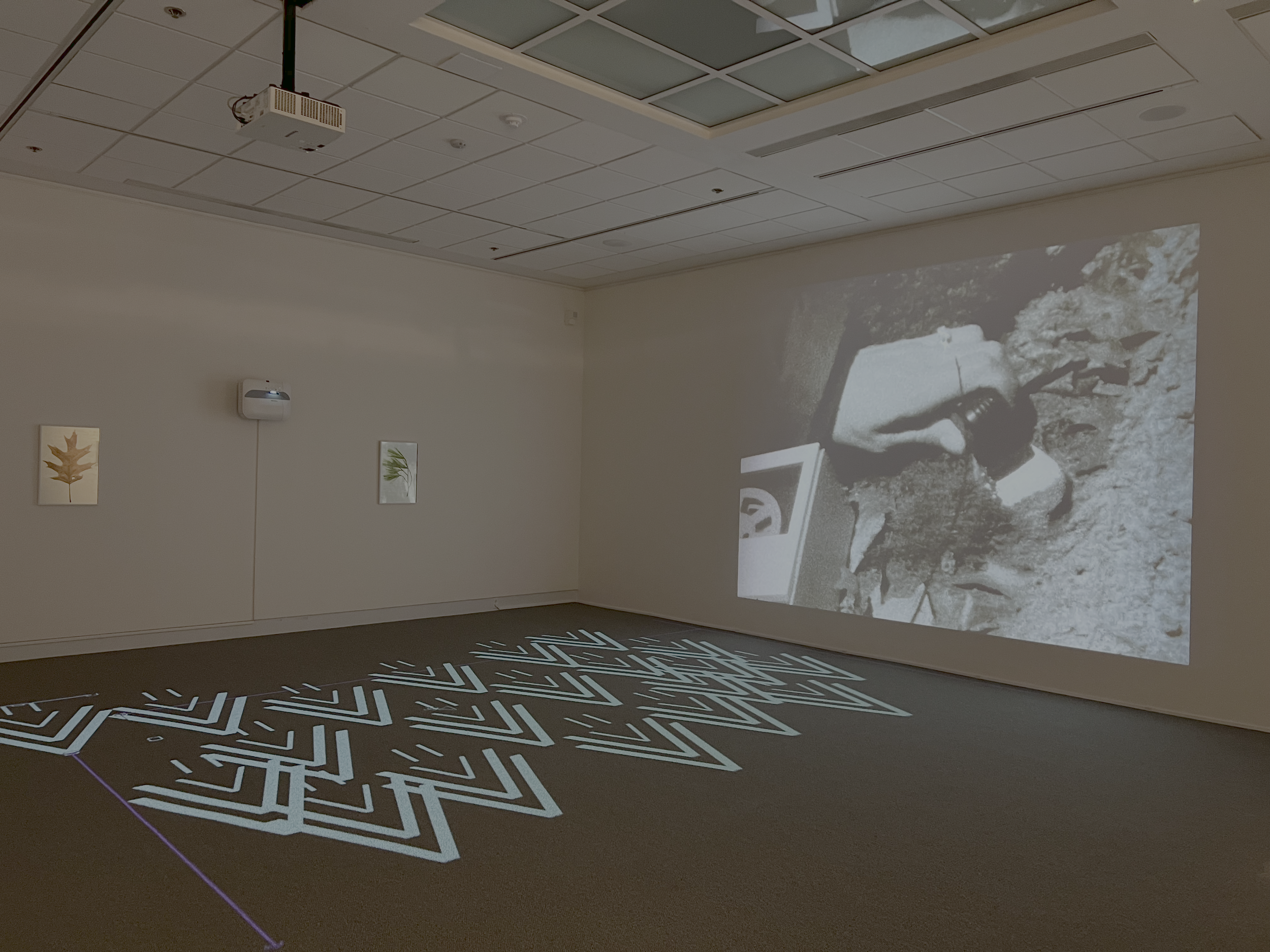 Faculty Biennial Exhibition