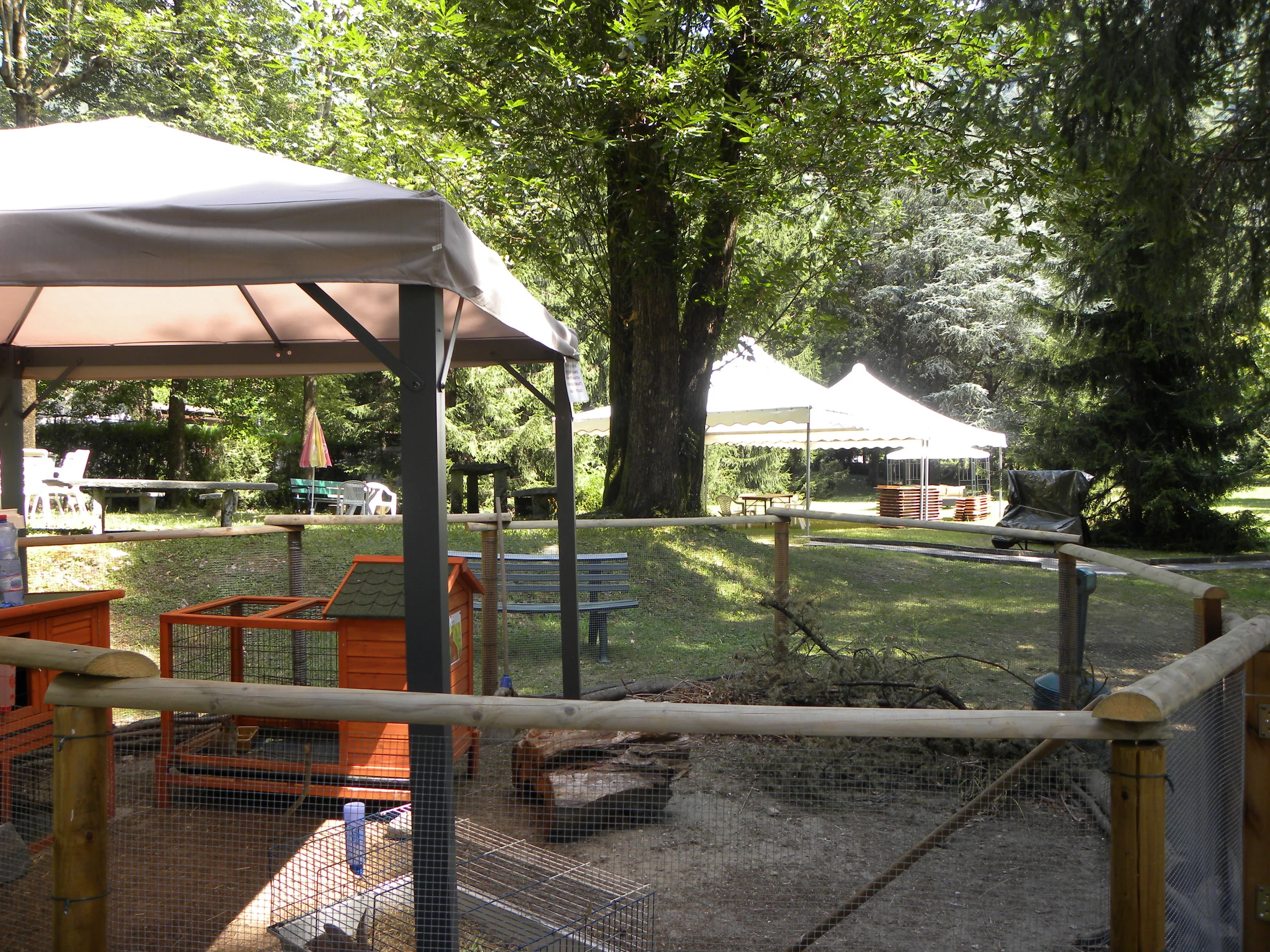 DSCN4825.JPG