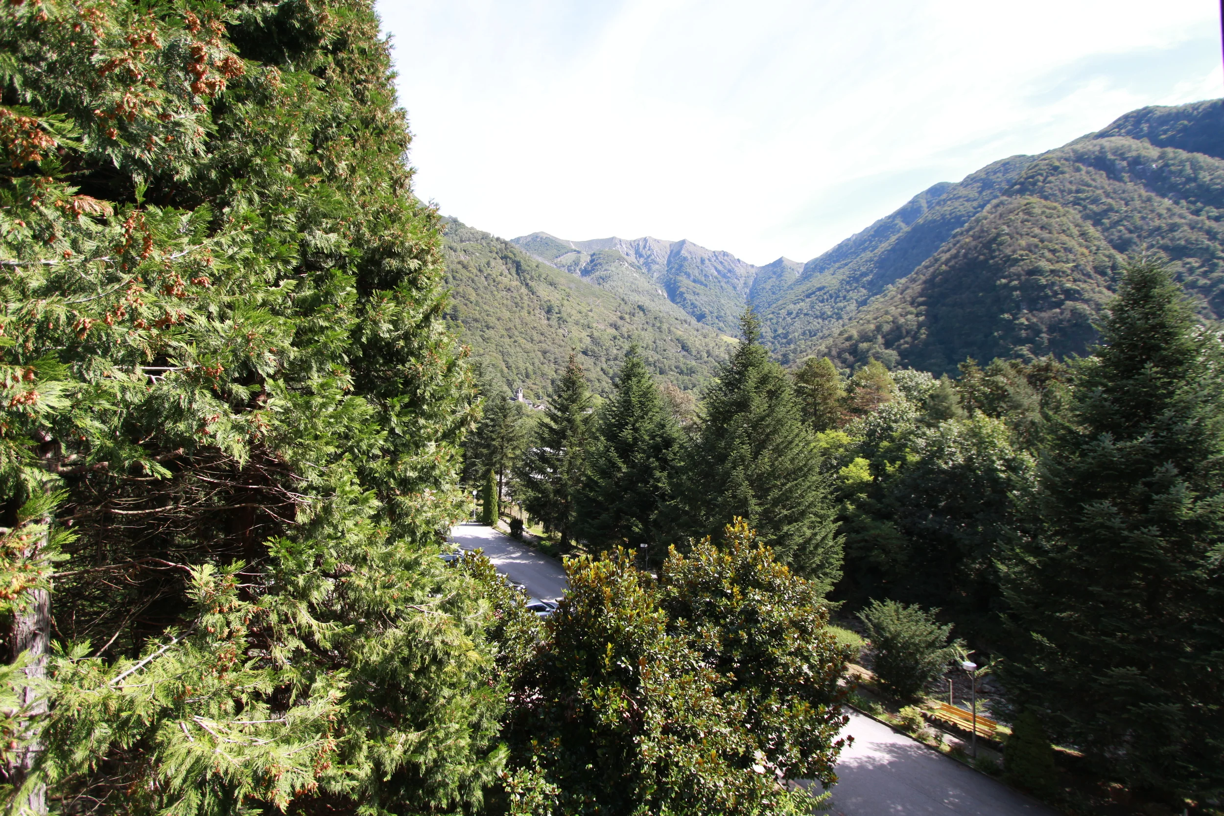 IMG_6154.JPG