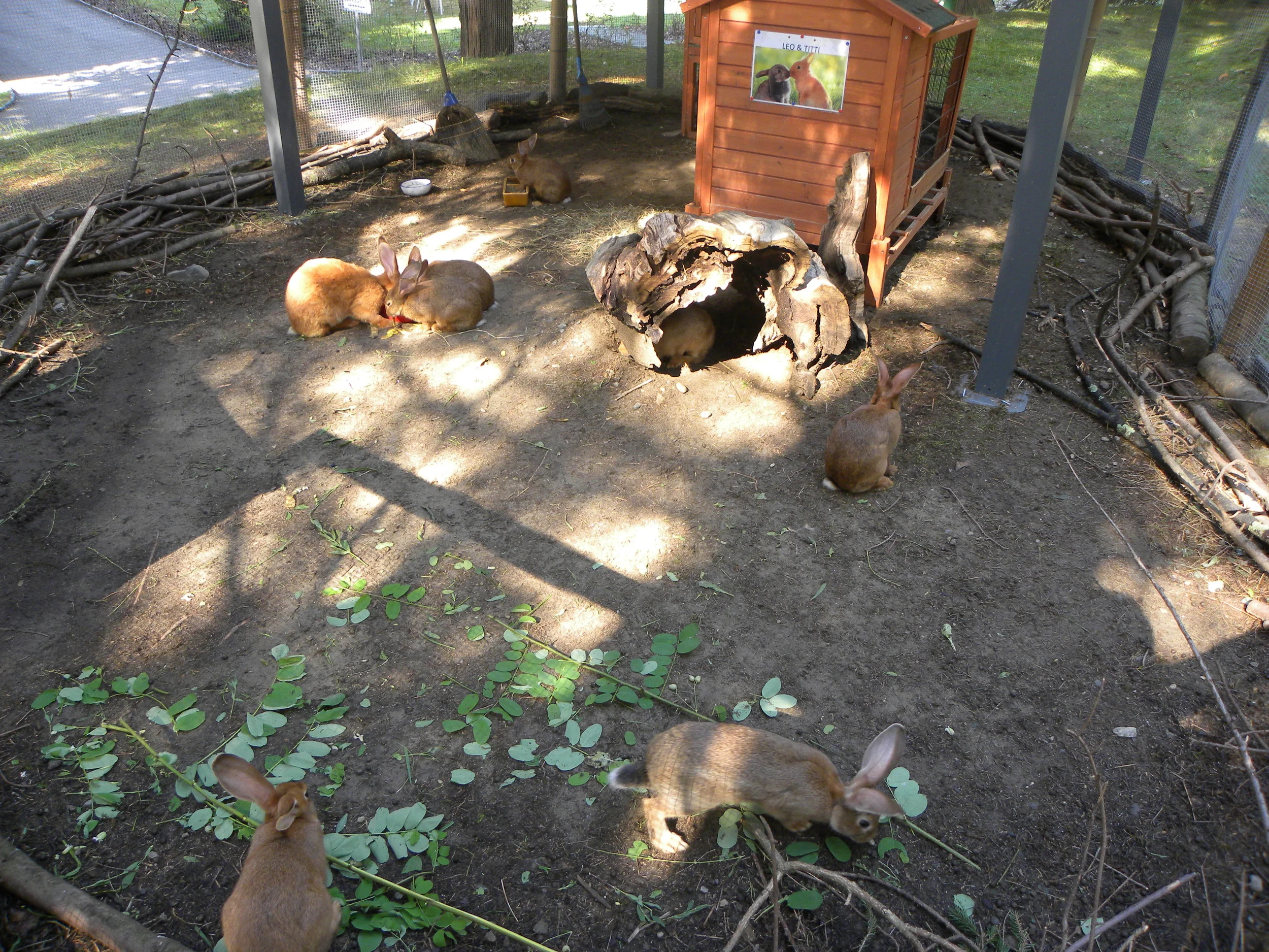 DSCN5012.JPG