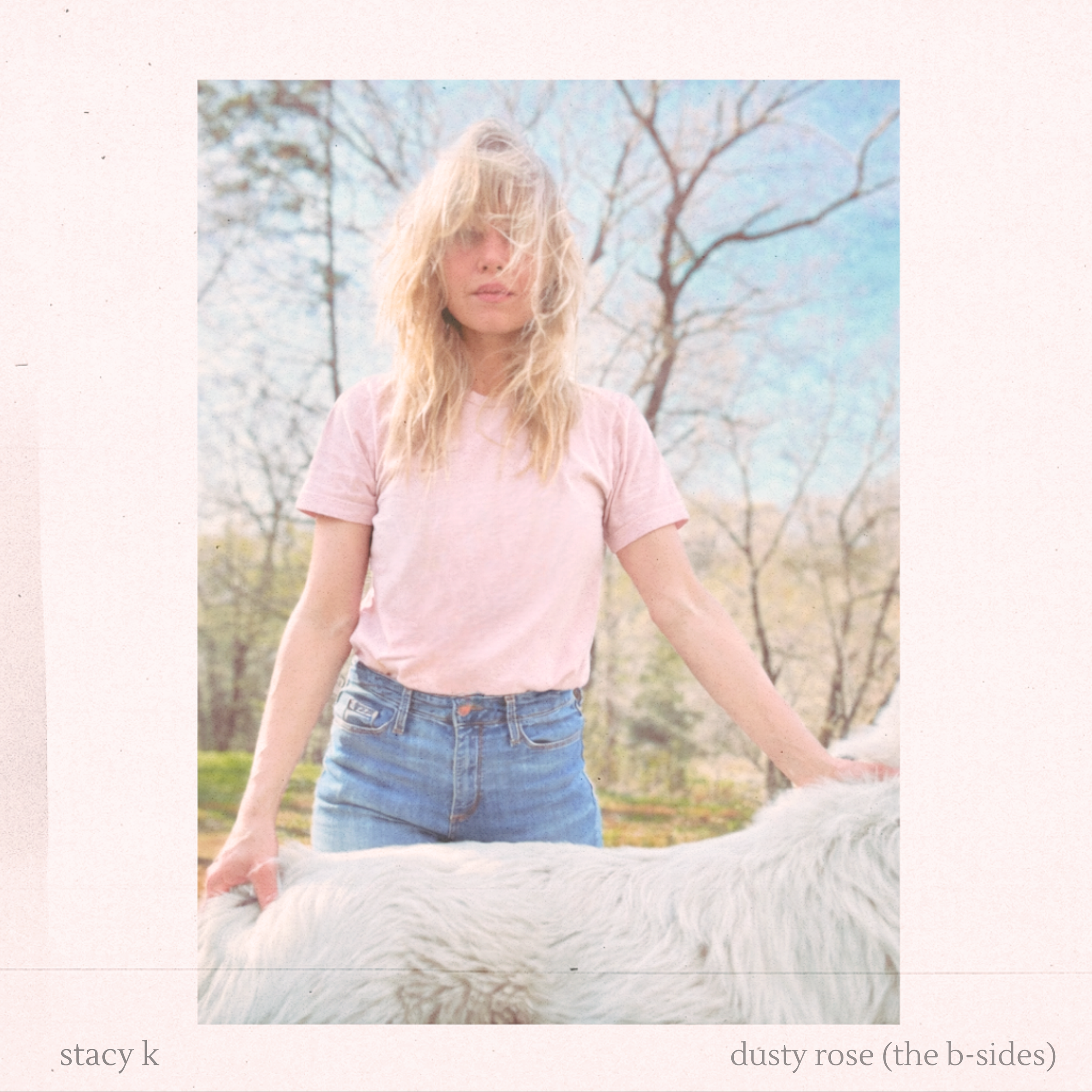 dusty rose the b sides.png