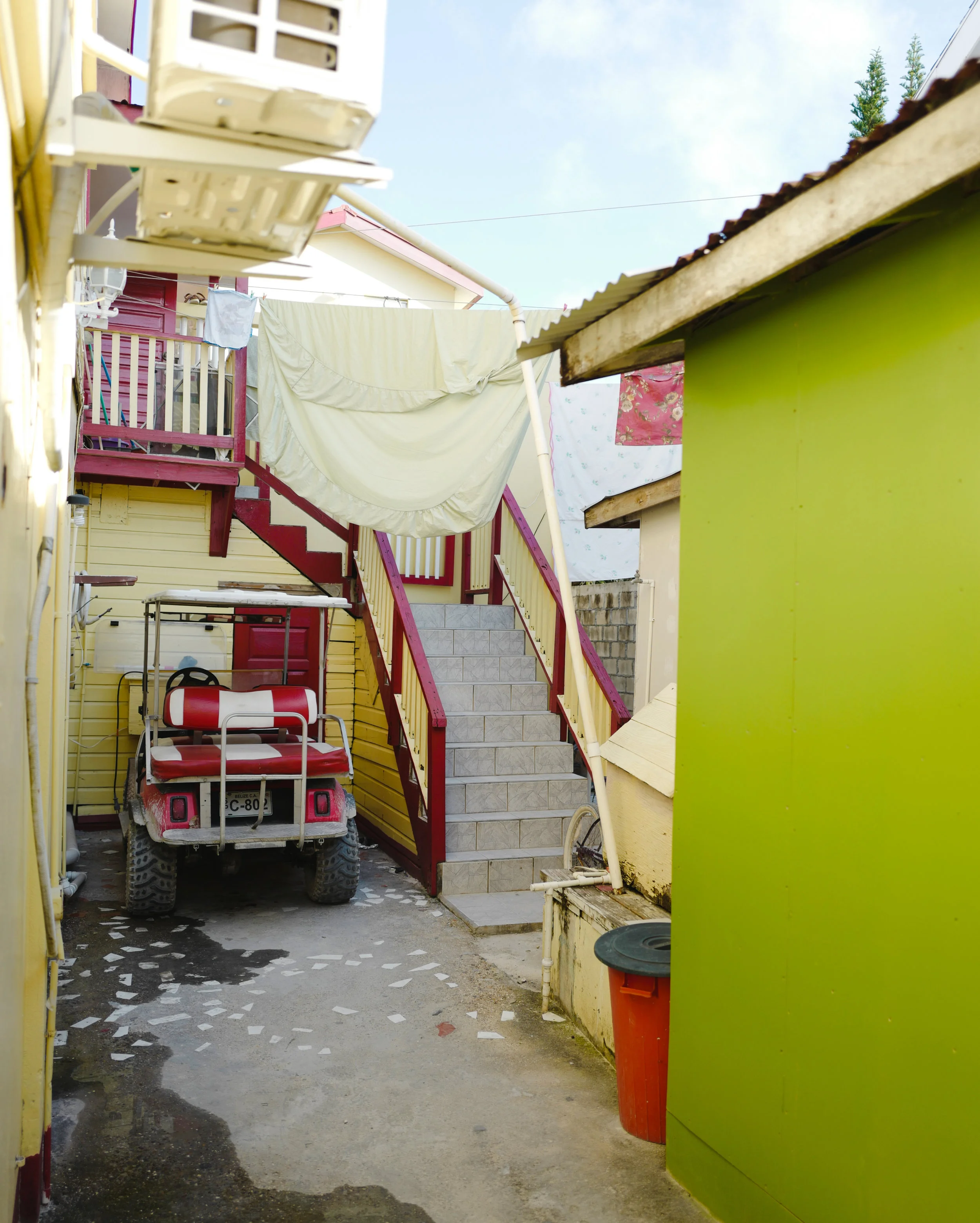 Belize_twheat-02.jpg