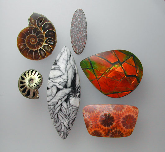 Fossils