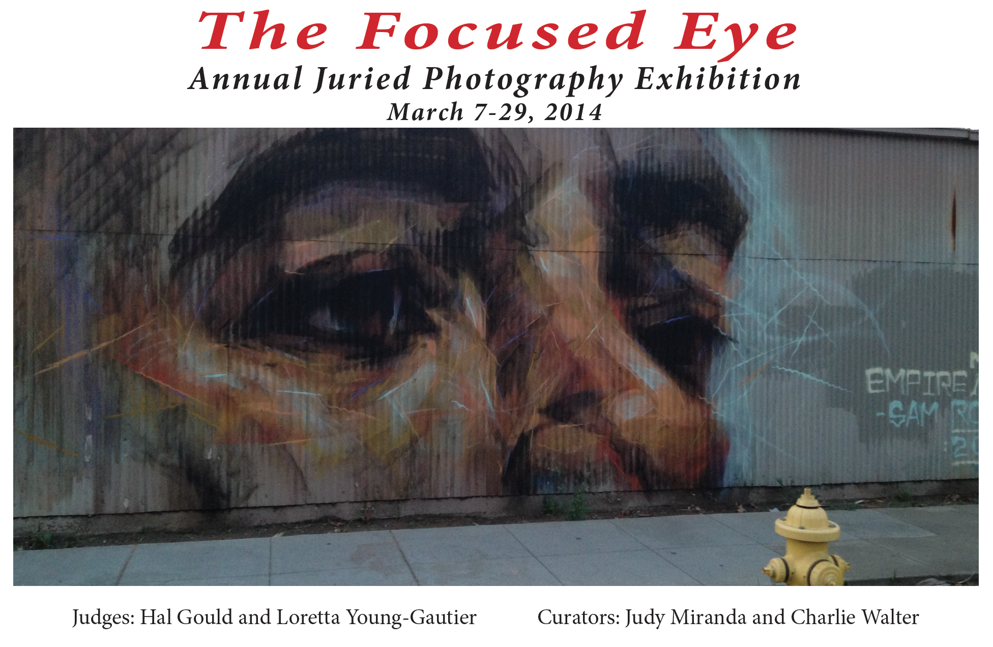 The Focused Eye: A Study in Photographic Imagination