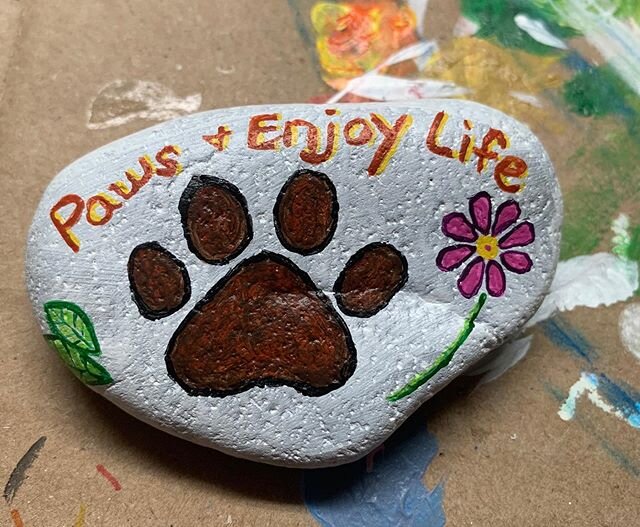 #thekindnessrocksproject #lifethroughlensesandlines #denver #putartinyouryard #kindness