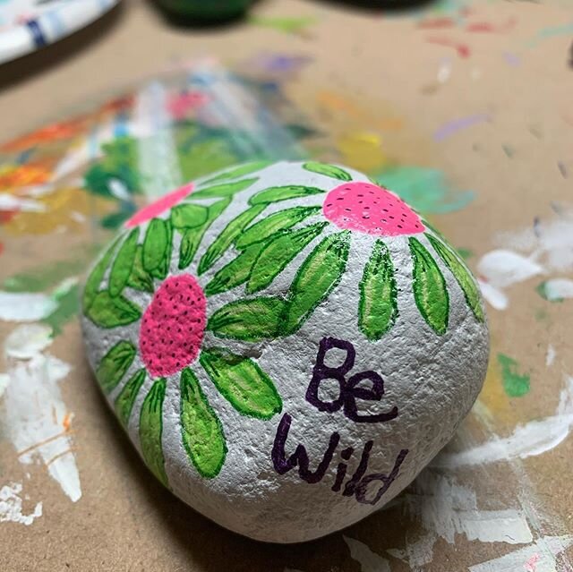 #thekindnessrocksproject #lifethroughlensesandlines #denver #putartinyouryard #kindness