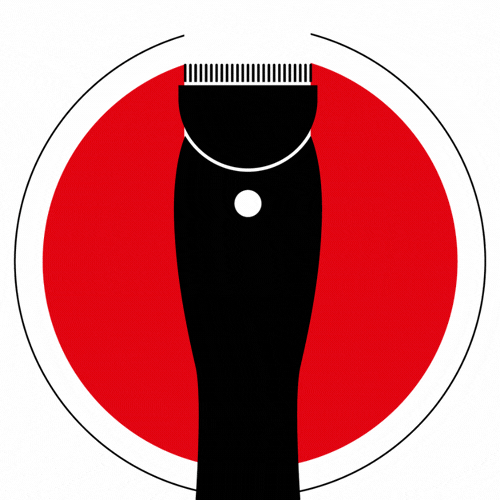 2A.gif