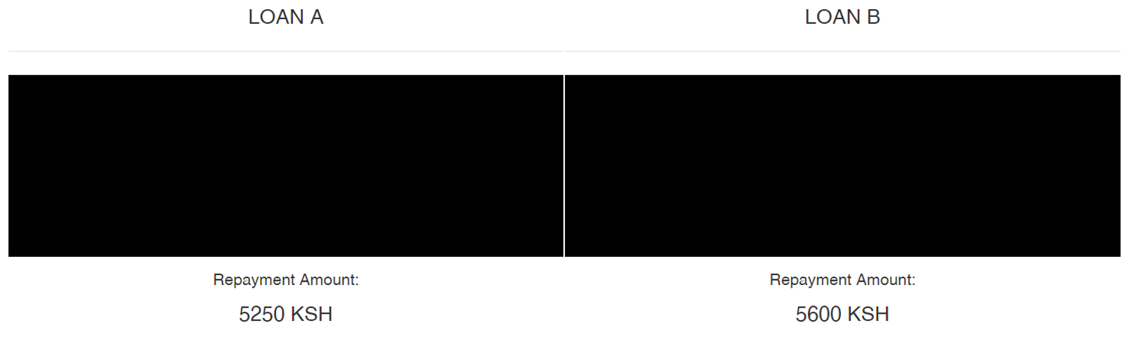 Figure 2D. Repayment amount revealed by pressing X