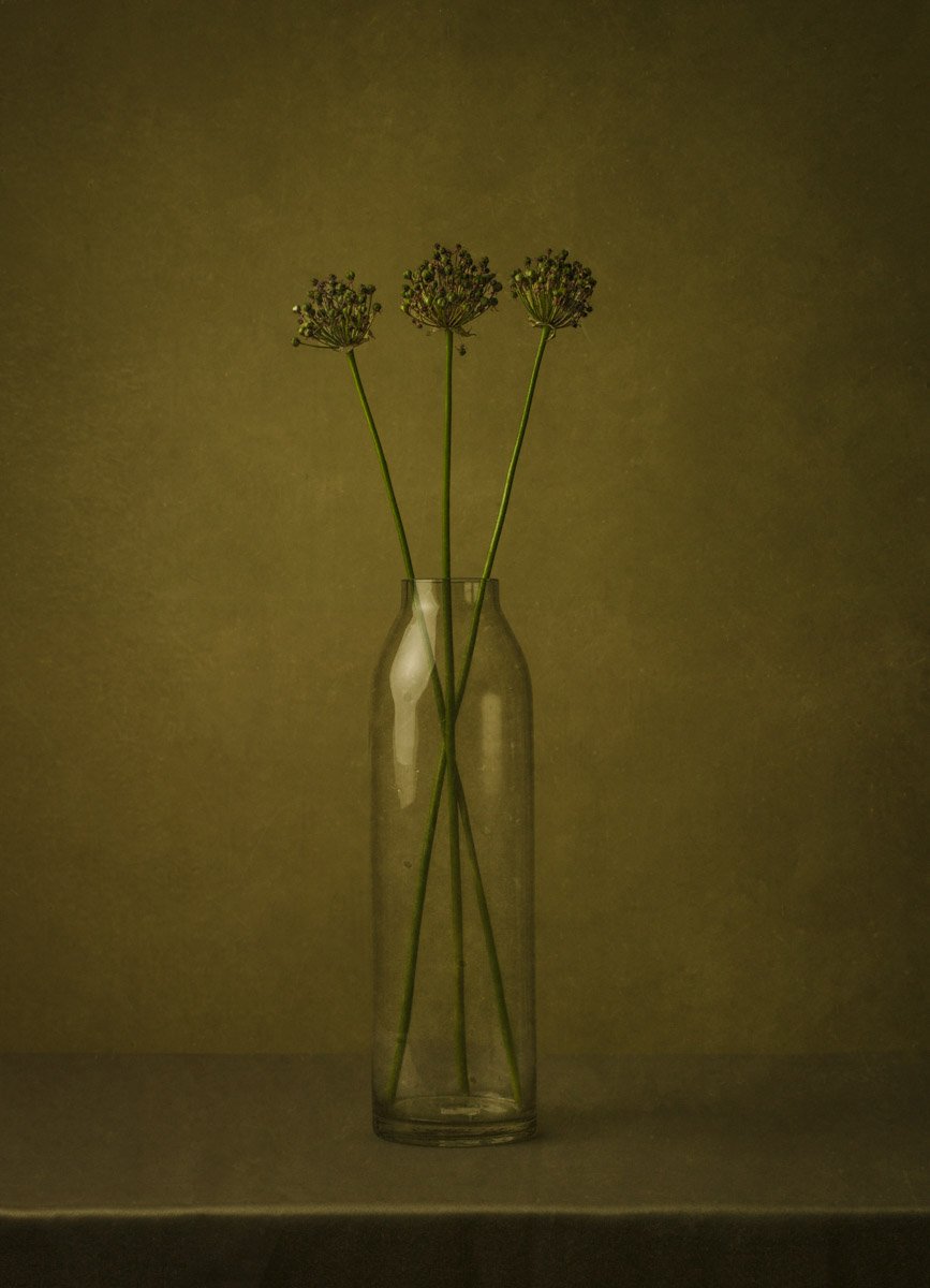 STIL_Allium-9380779.jpg