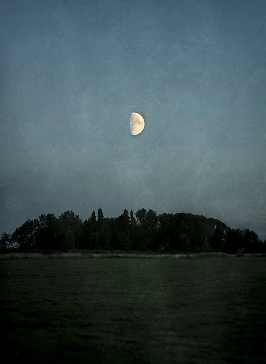 landschap_maan-9563 kopie.jpg