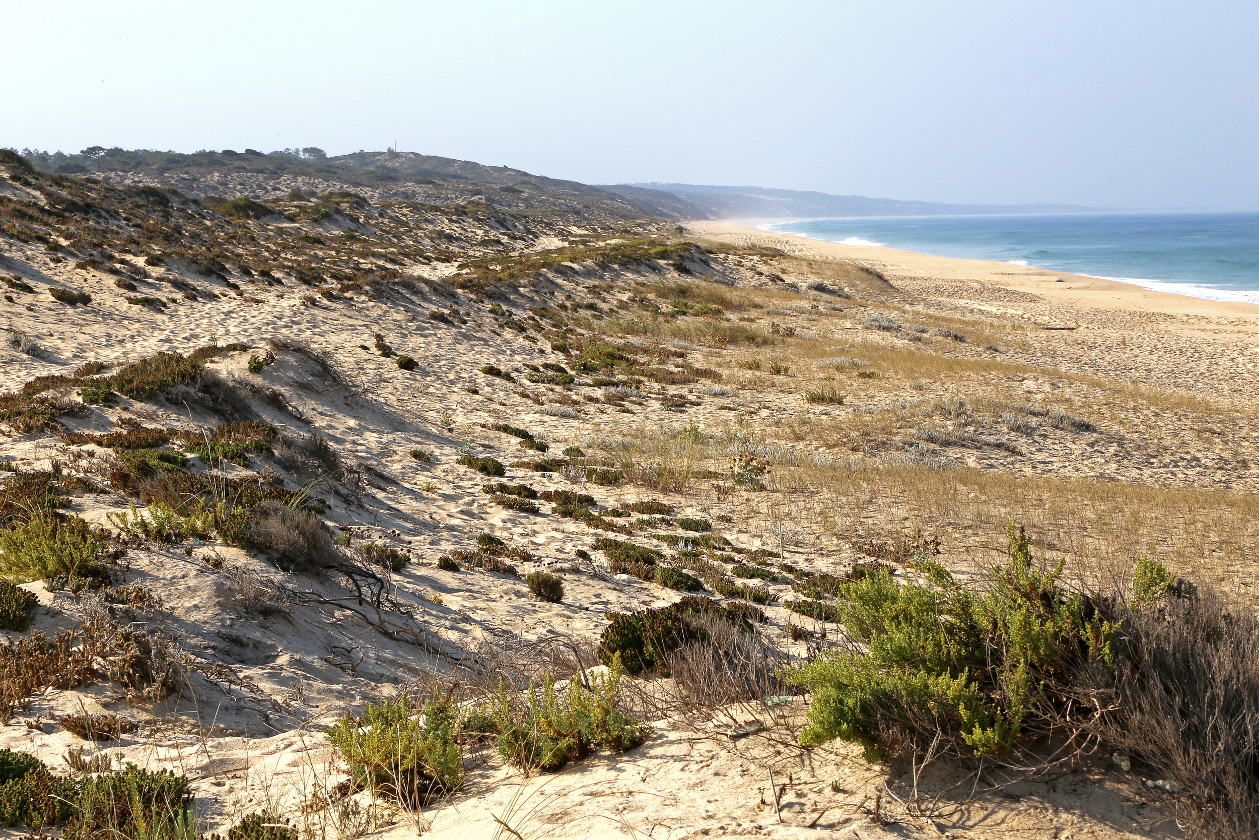 Casa do Pego - Luxury beach villa in Comporta