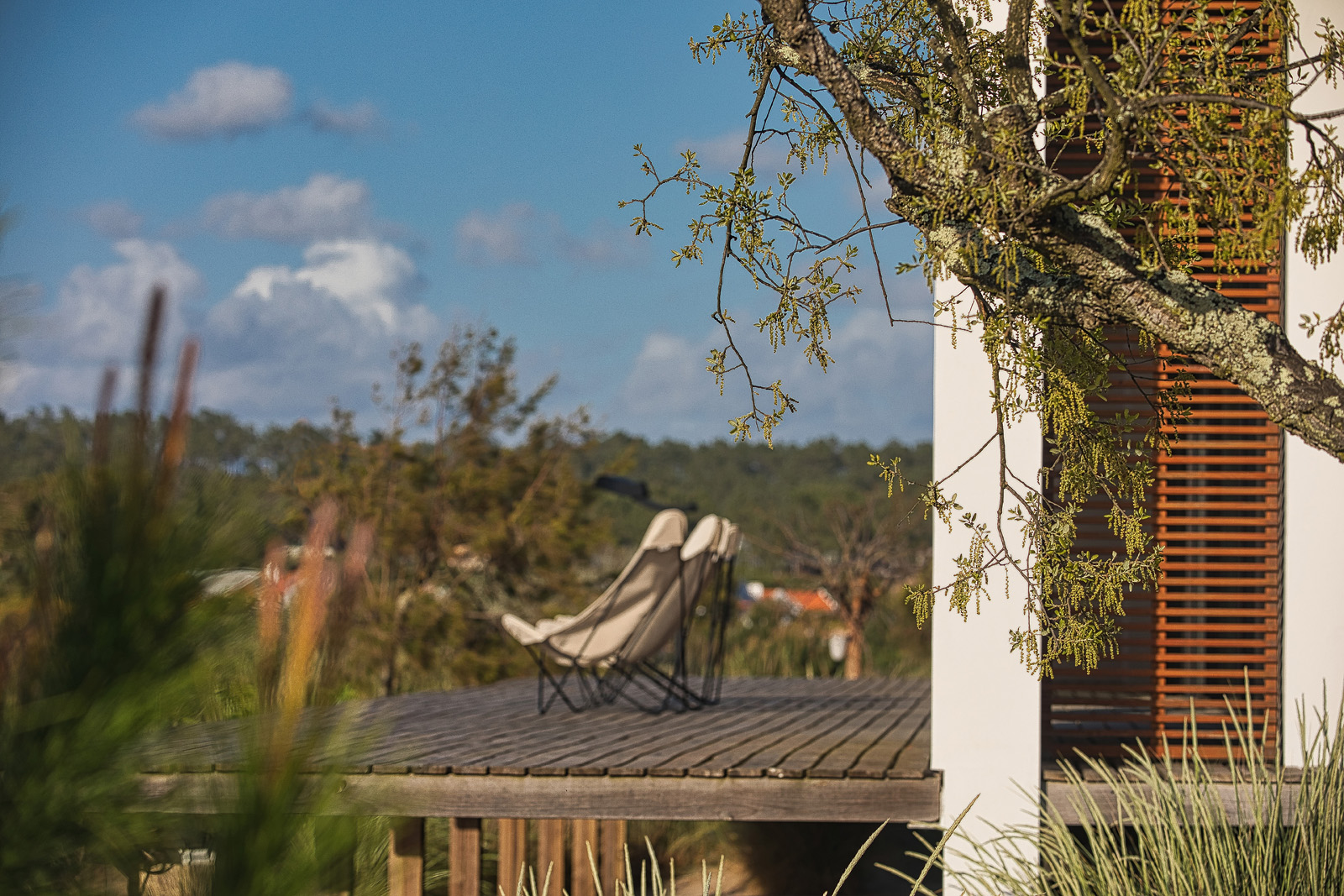 "IF YOU LOVE MODERN ARCHITECTURE DO NOT MISS BOOKING THIS HOME"