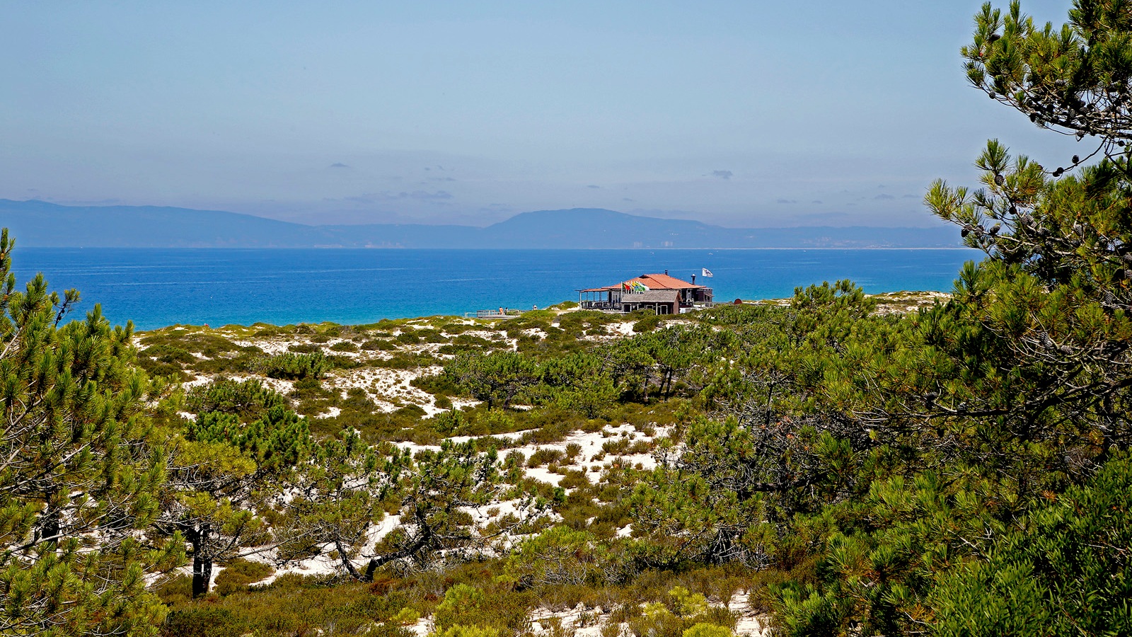 Copy of Copy of Casa do Pego - Luxury Design Villa with heated pool in Comporta, Portugal