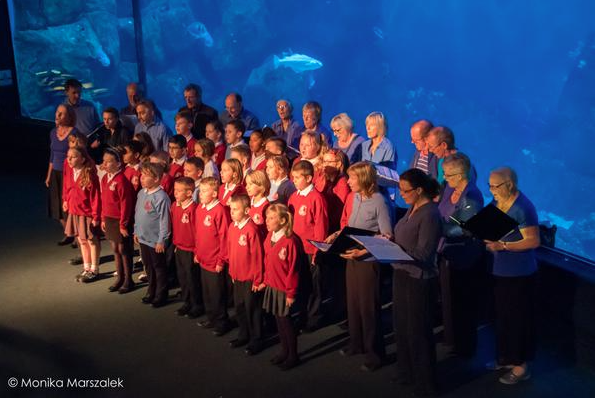 BBC filming performance of Ozone Song at National Aquarium with children from Ford Primary School, Plymouth and choir from South Devon Singers.