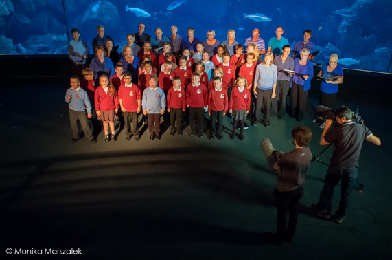  BBC filming performance of Ozone Song at National Aquarium with children from Ford Primary School, Plymouth and choir from South Devon Singers. 