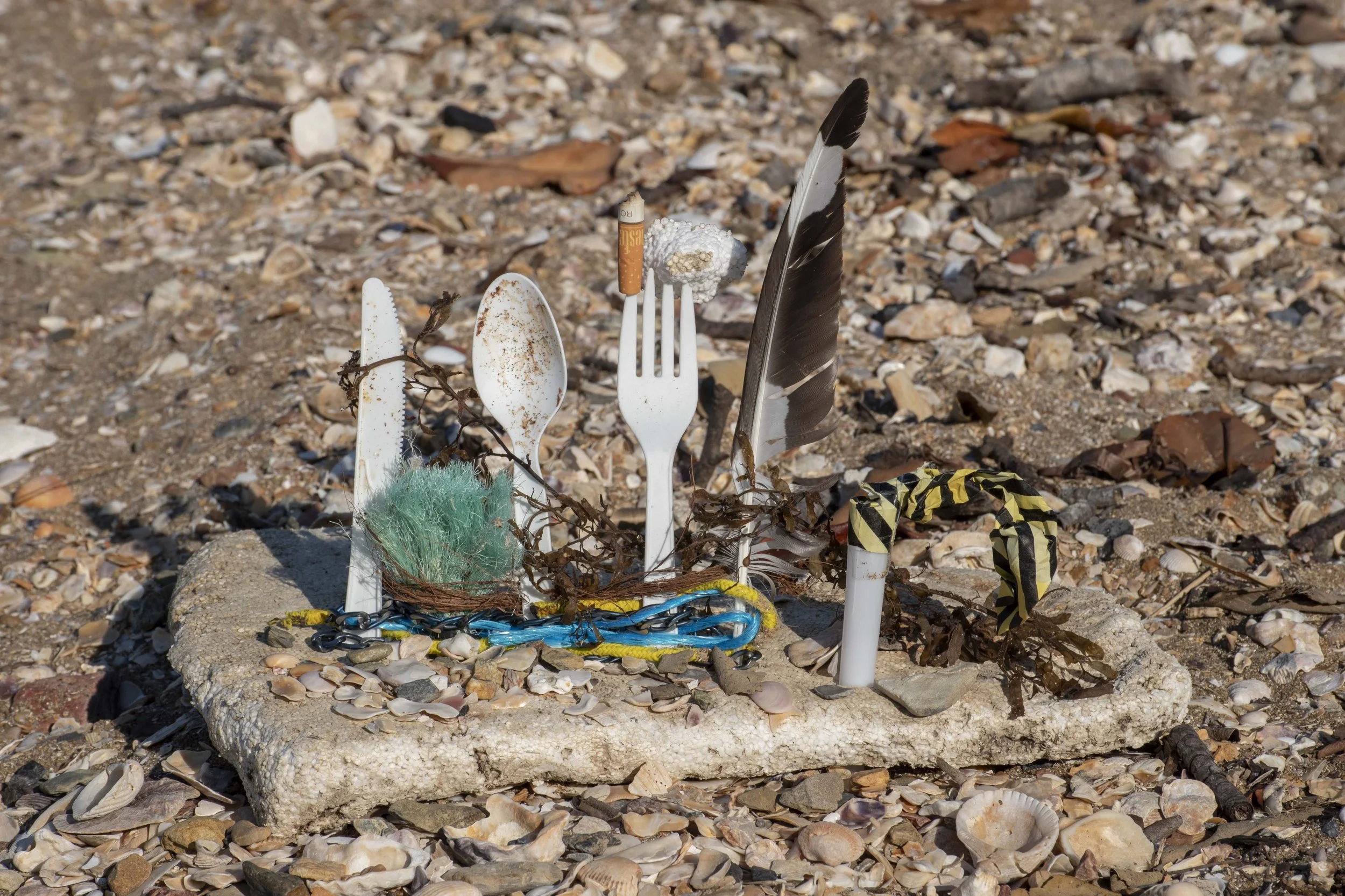 'Beach Party', Marine and Beach Debris, Natural Materials. Barney Point Beach, Gladstone, Australia, 2024