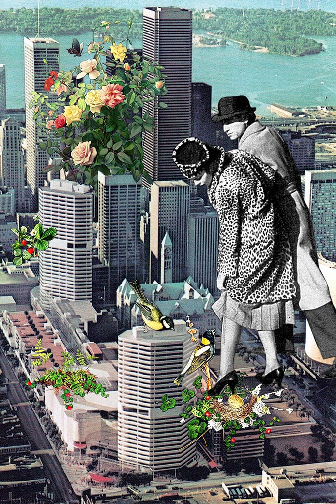 'Jungle City'