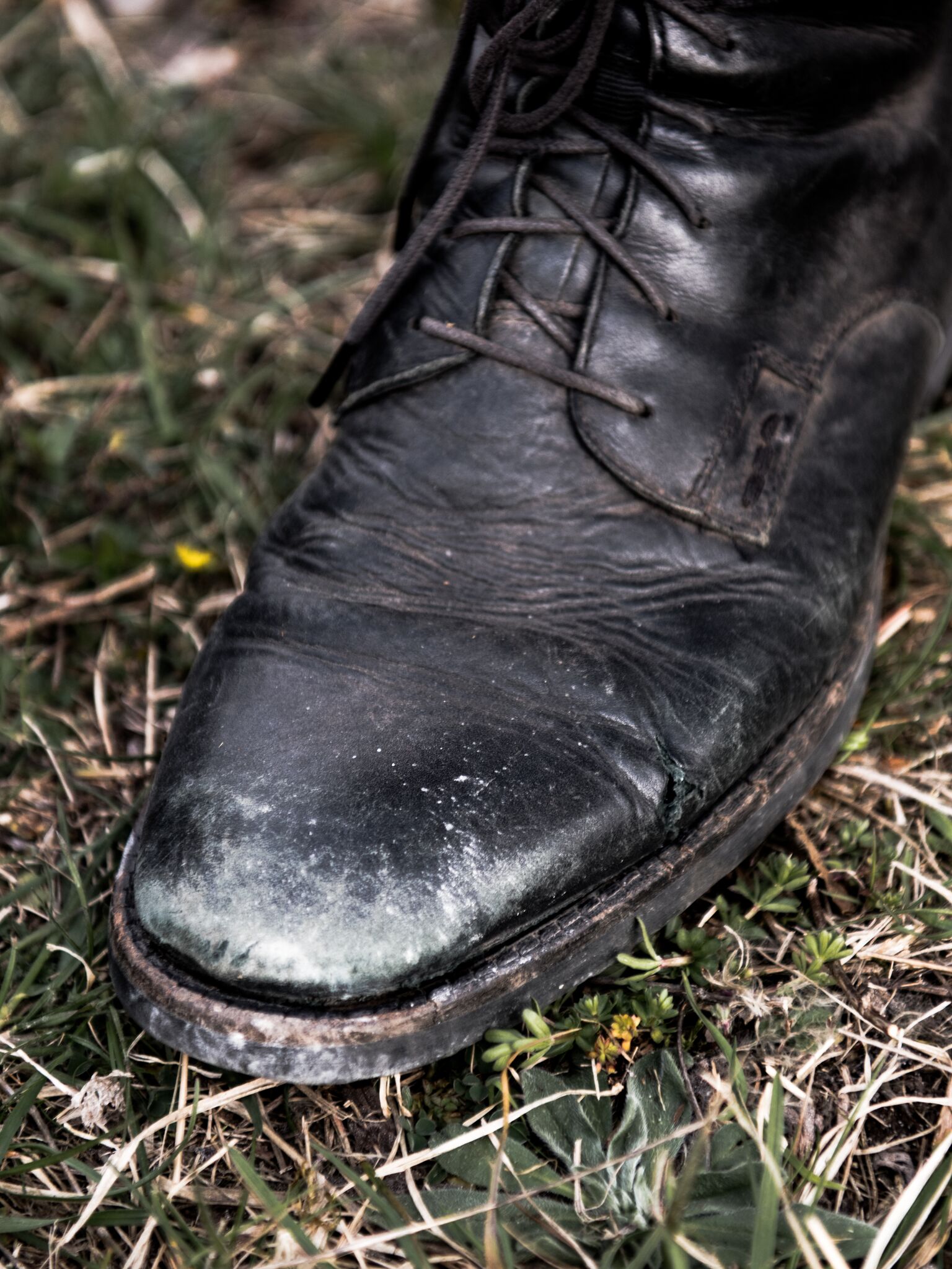 Boots Vagabond