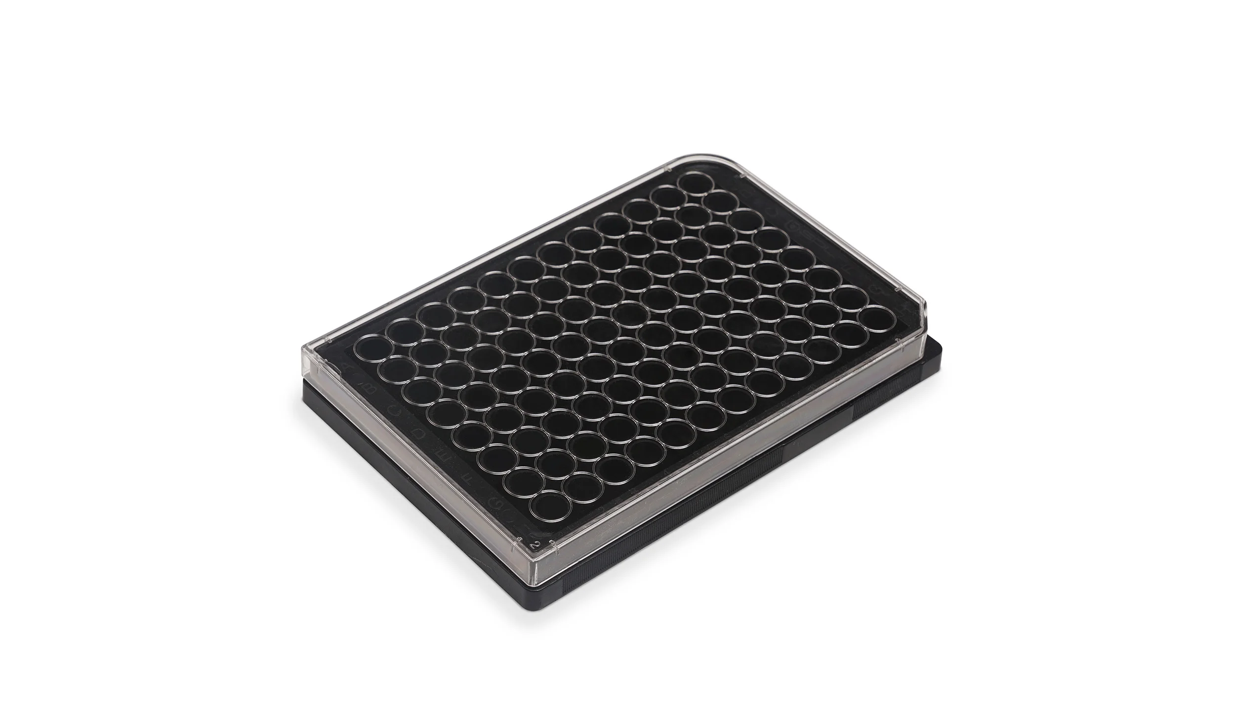96-well Nanopatterned Plate Angle