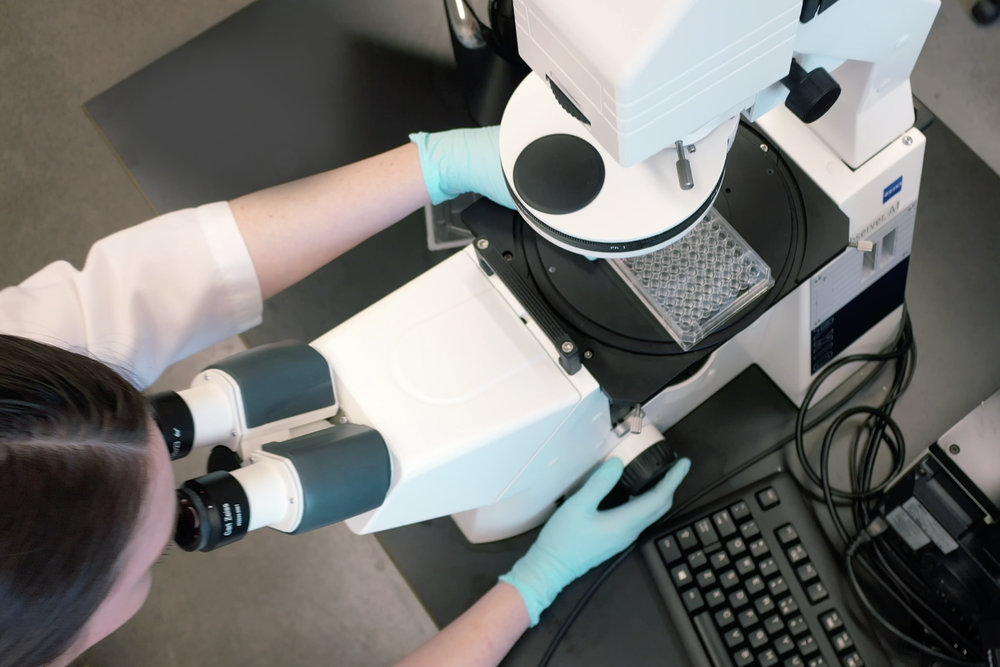 NanoSurface Scientist at Microscope