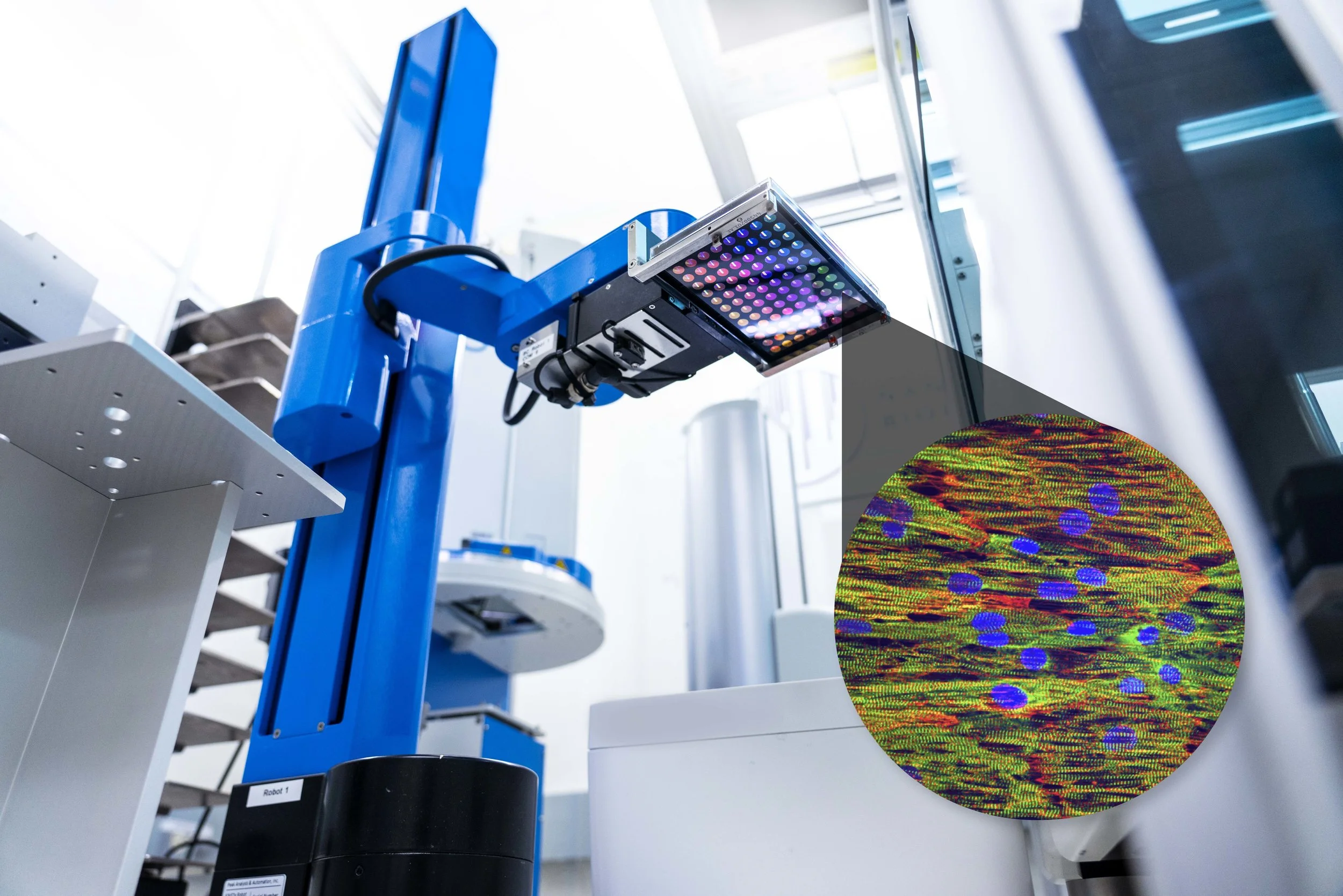 NanoSurface Talk at SOT 2019 - 3/13/19 