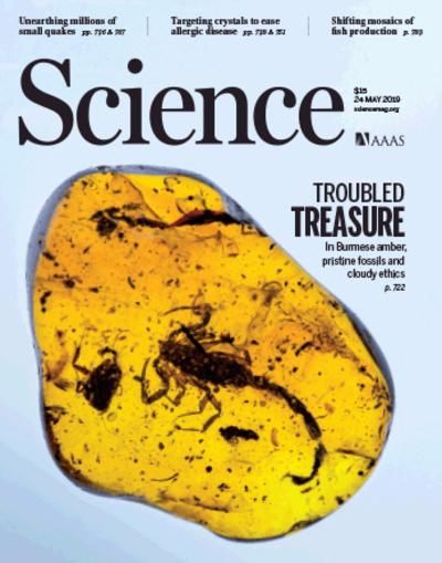 Science Magazine Cover - eCyte 6 Feature.jpeg
