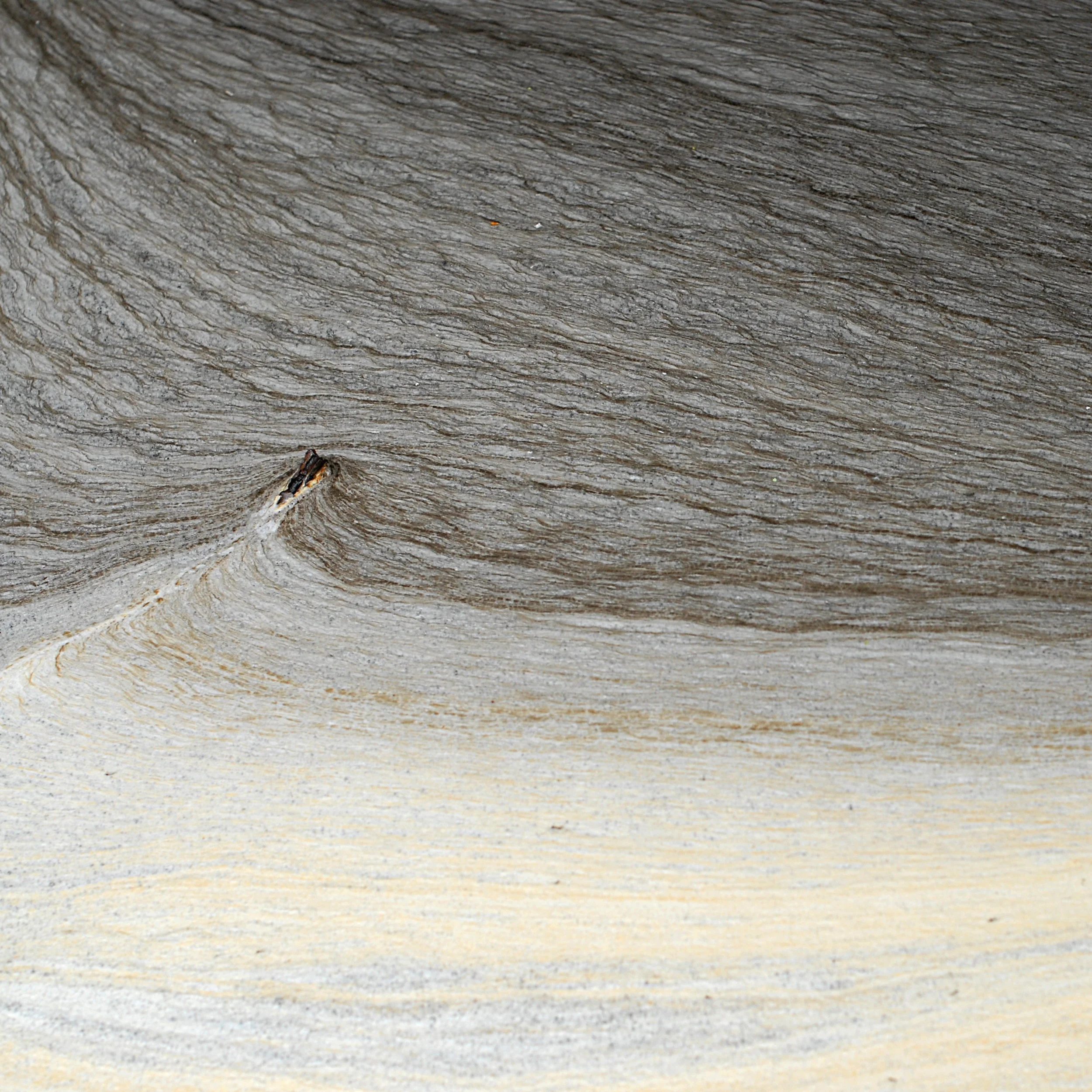 I AM LIKE A BIRD.JPG