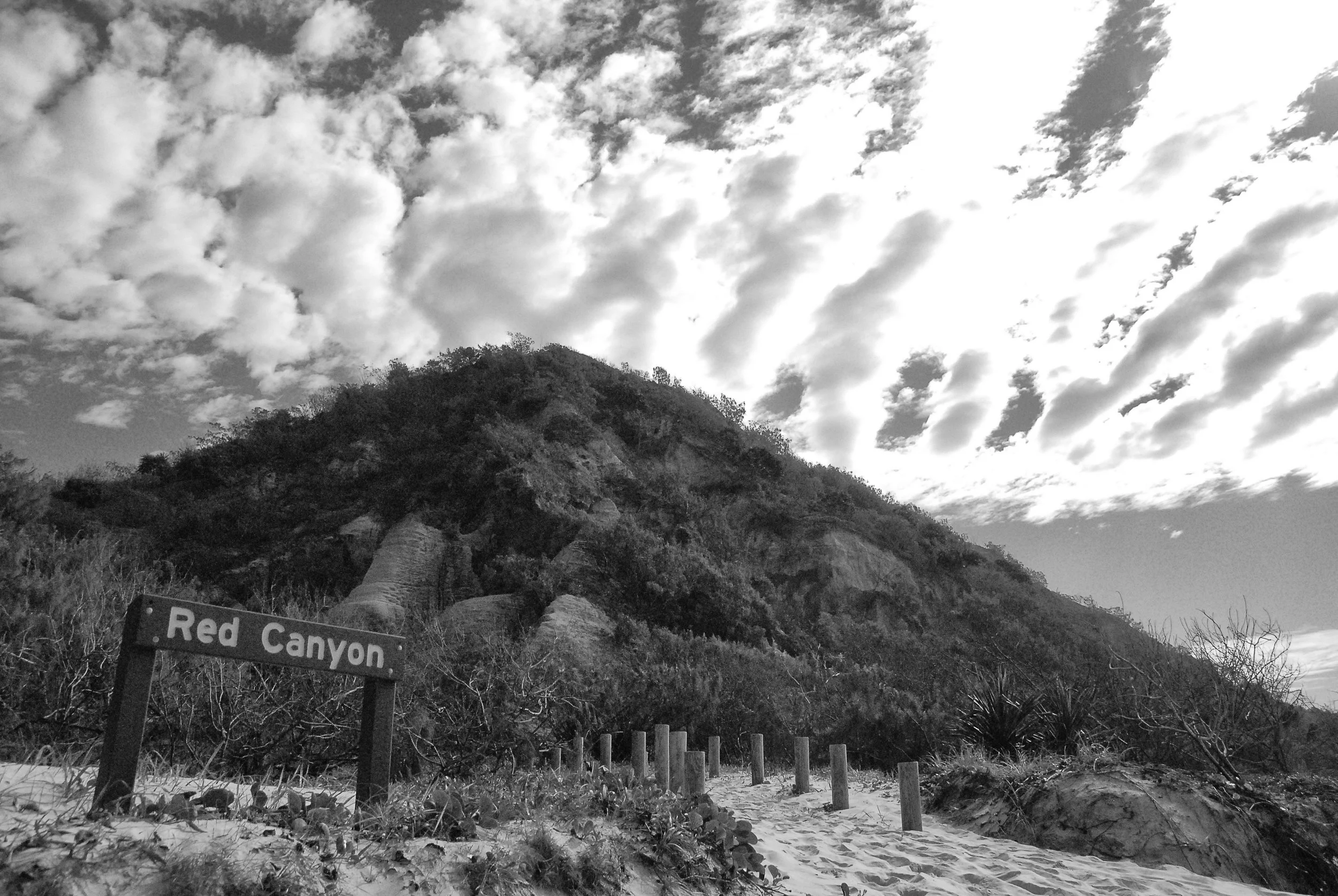 RED CANYON.jpg
