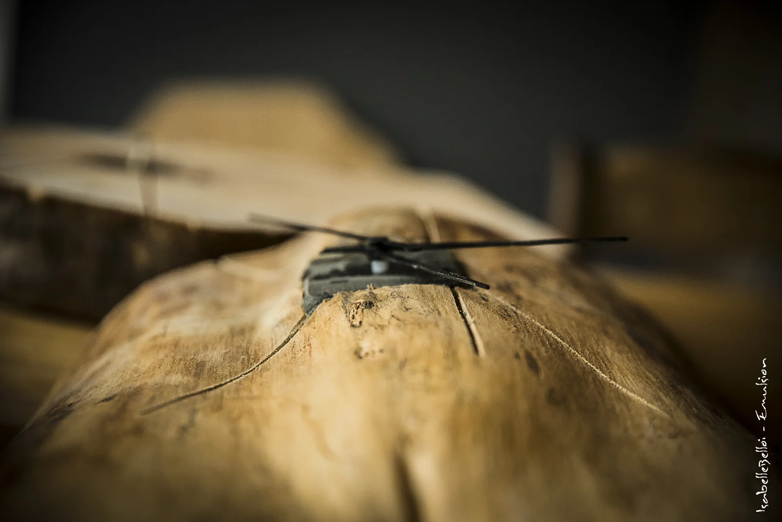 Horloge Naturabois.be