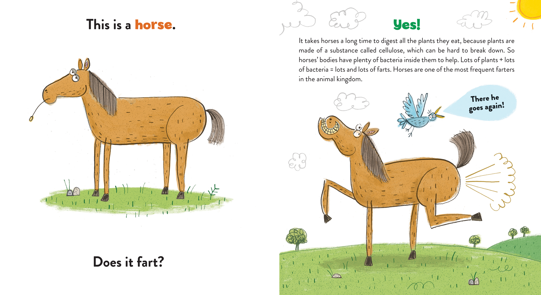 spread01.png