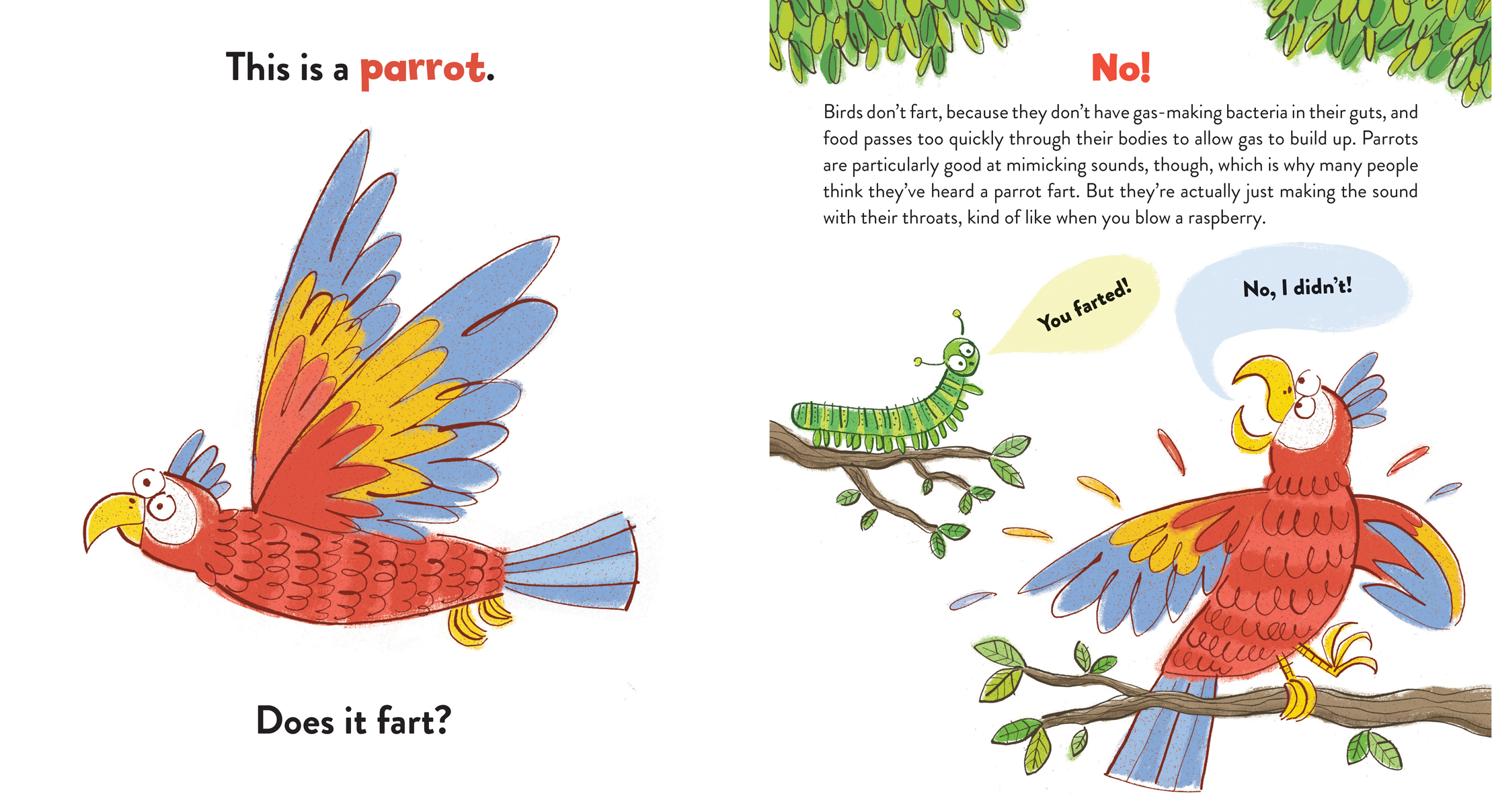 spread02.png