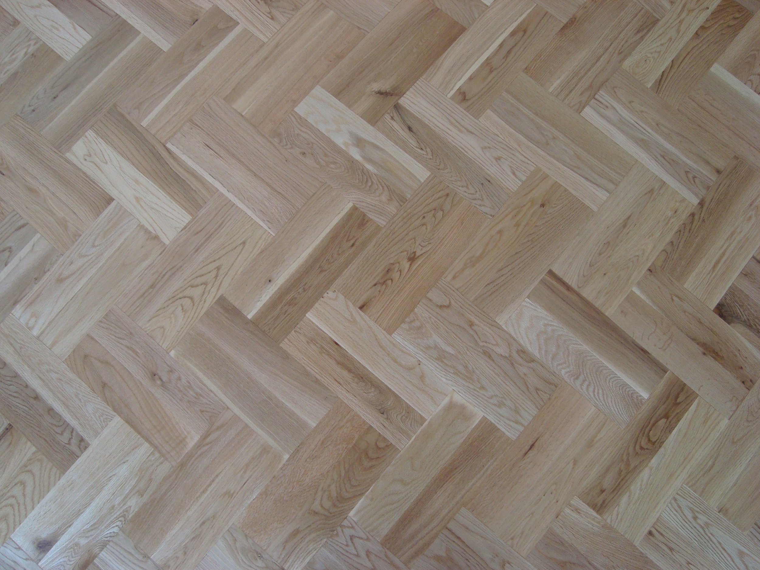 European Oak.JPG